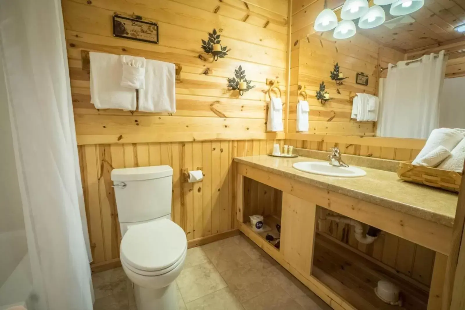 Kitchen or kitchenette, Bathroom in Nacoochee valley motel