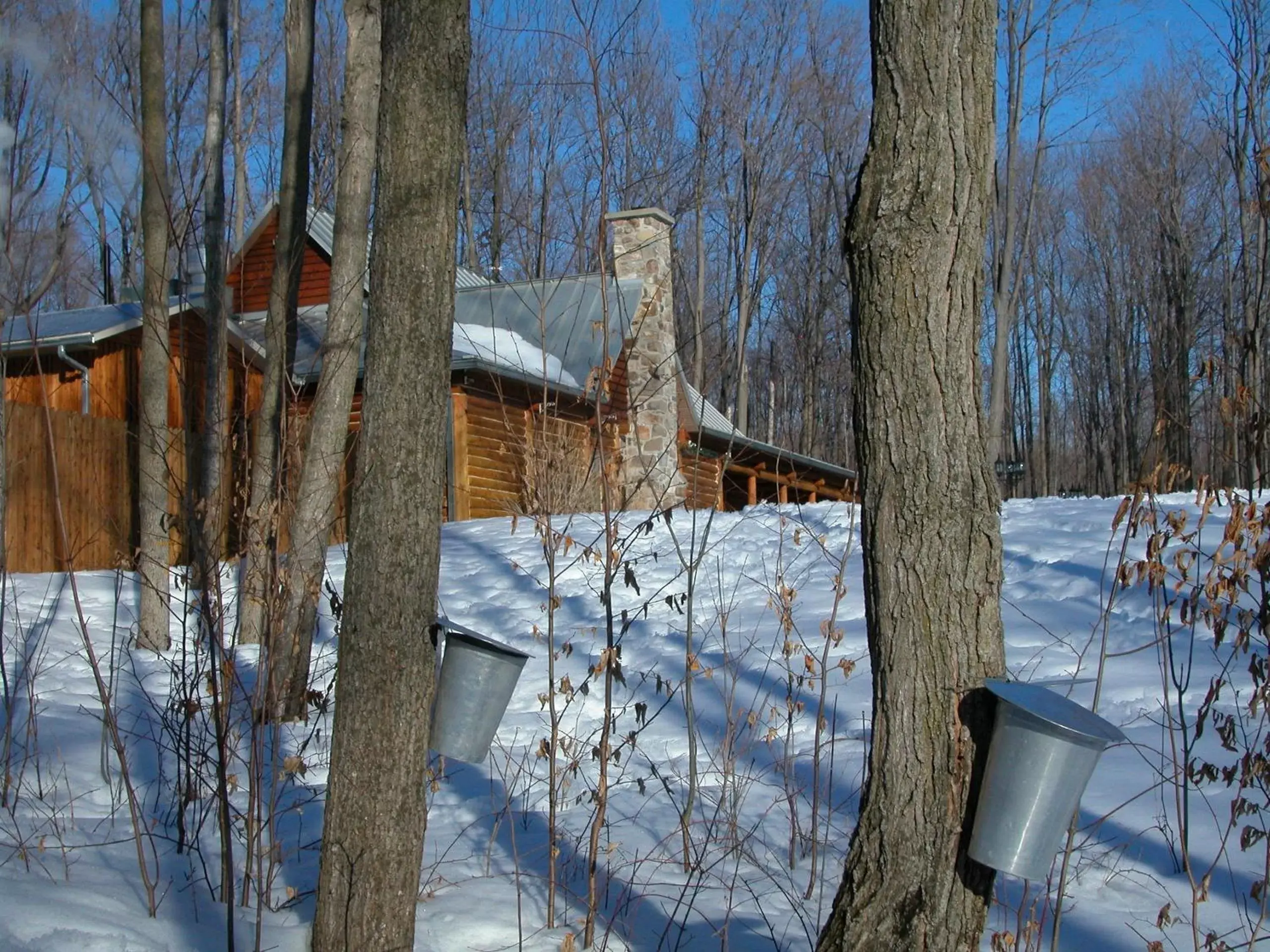 Area and facilities, Winter in Auberge des Gallant