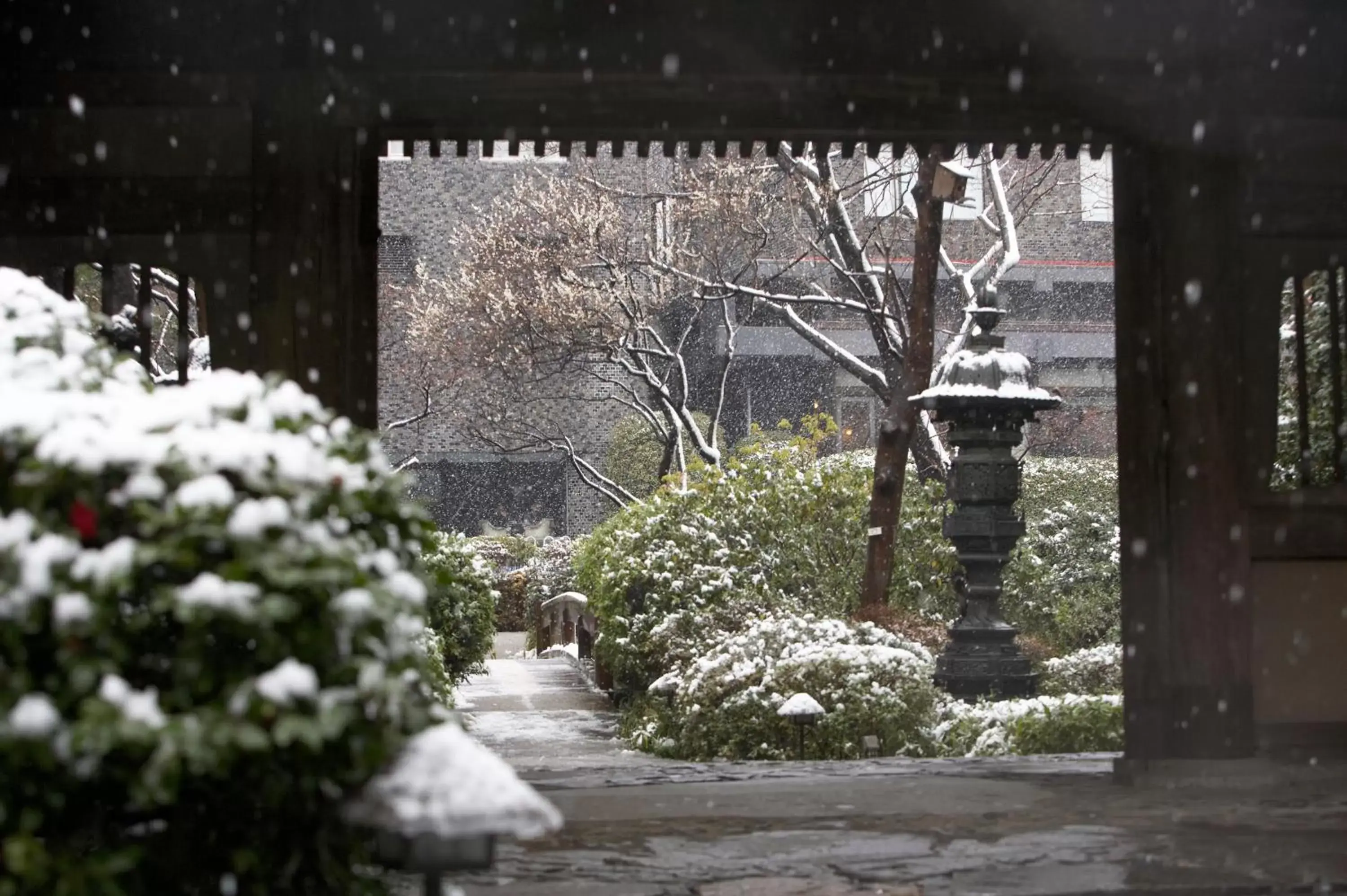 Garden, Winter in Grand Prince Hotel Takanawa