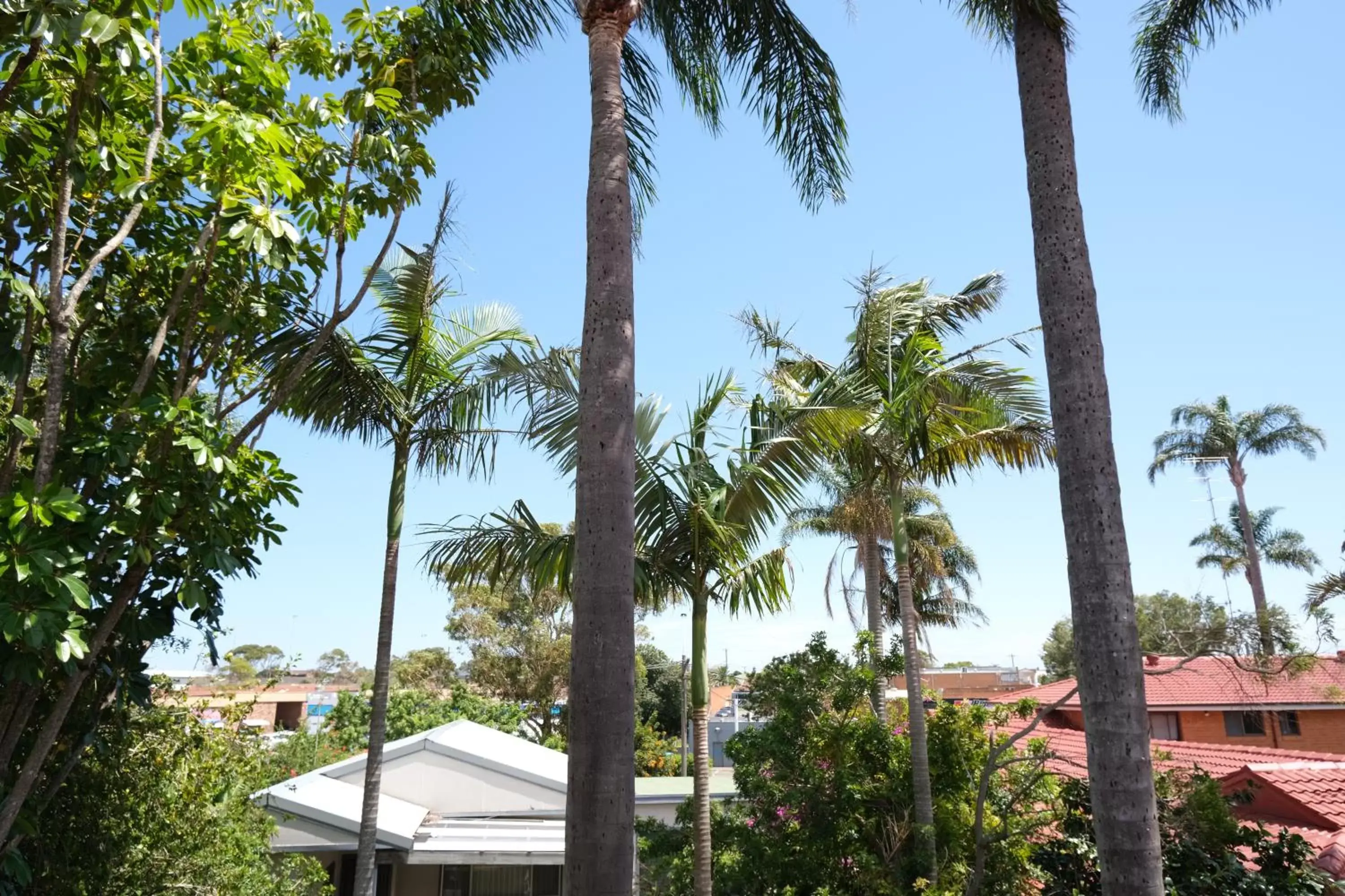 View (from property/room) in Sapphire Palms Motel