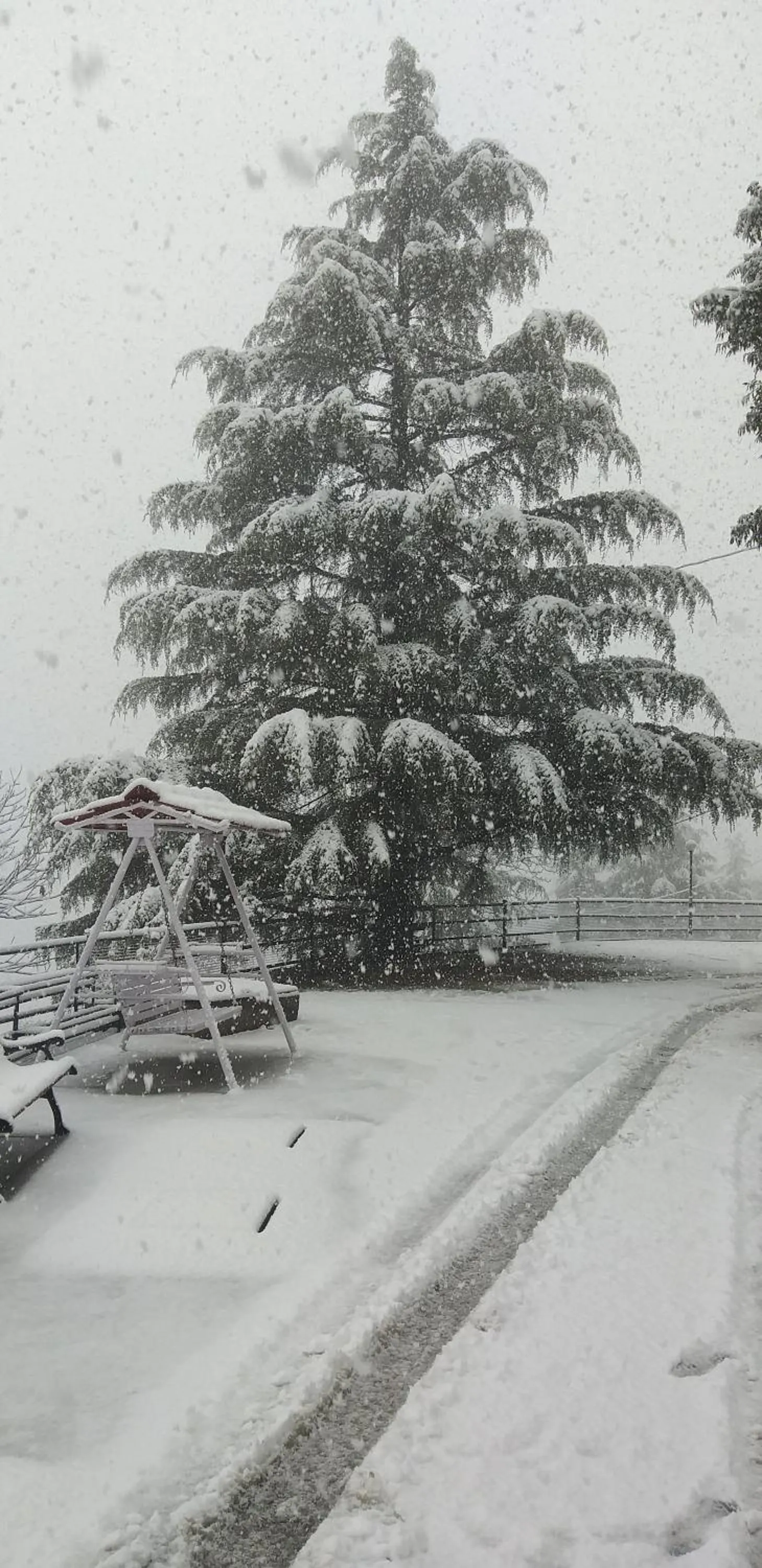 Property building in Hotel SunGrace