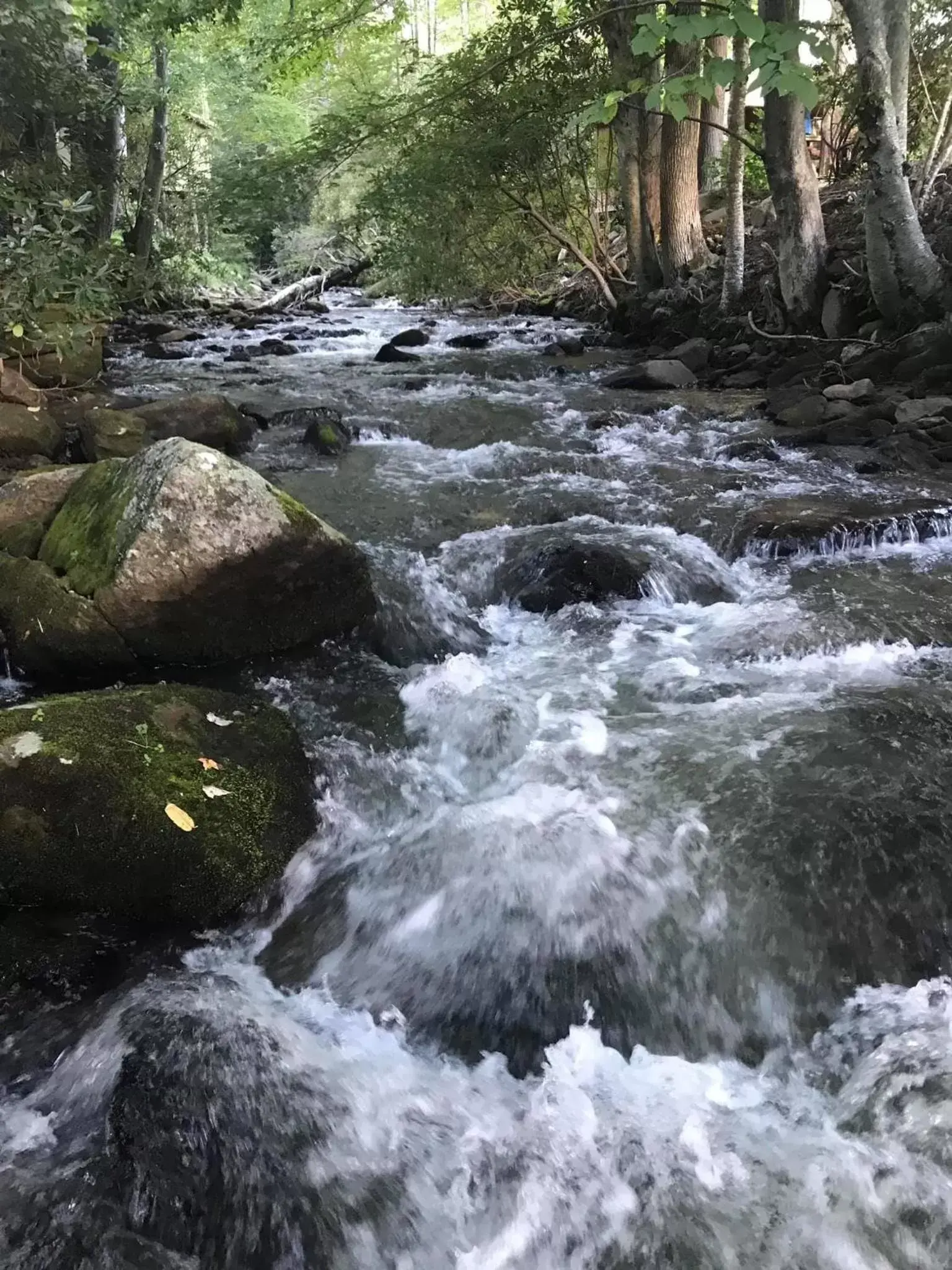 Fishing, Natural Landscape in Route 19 Inn