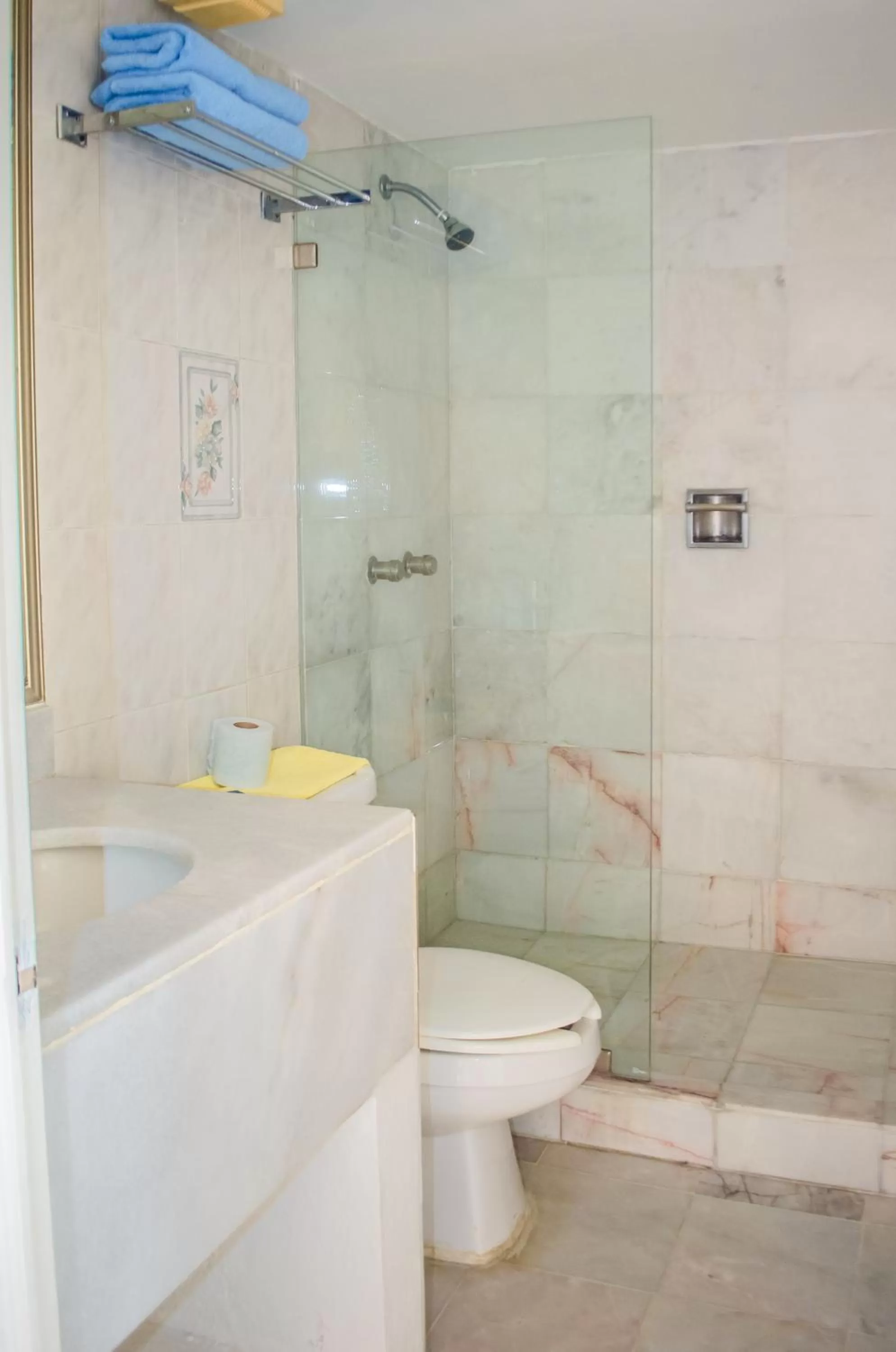 Bathroom in ENNA INN IXTAPA DEPARTAMENTOS ViSTA AL MAR