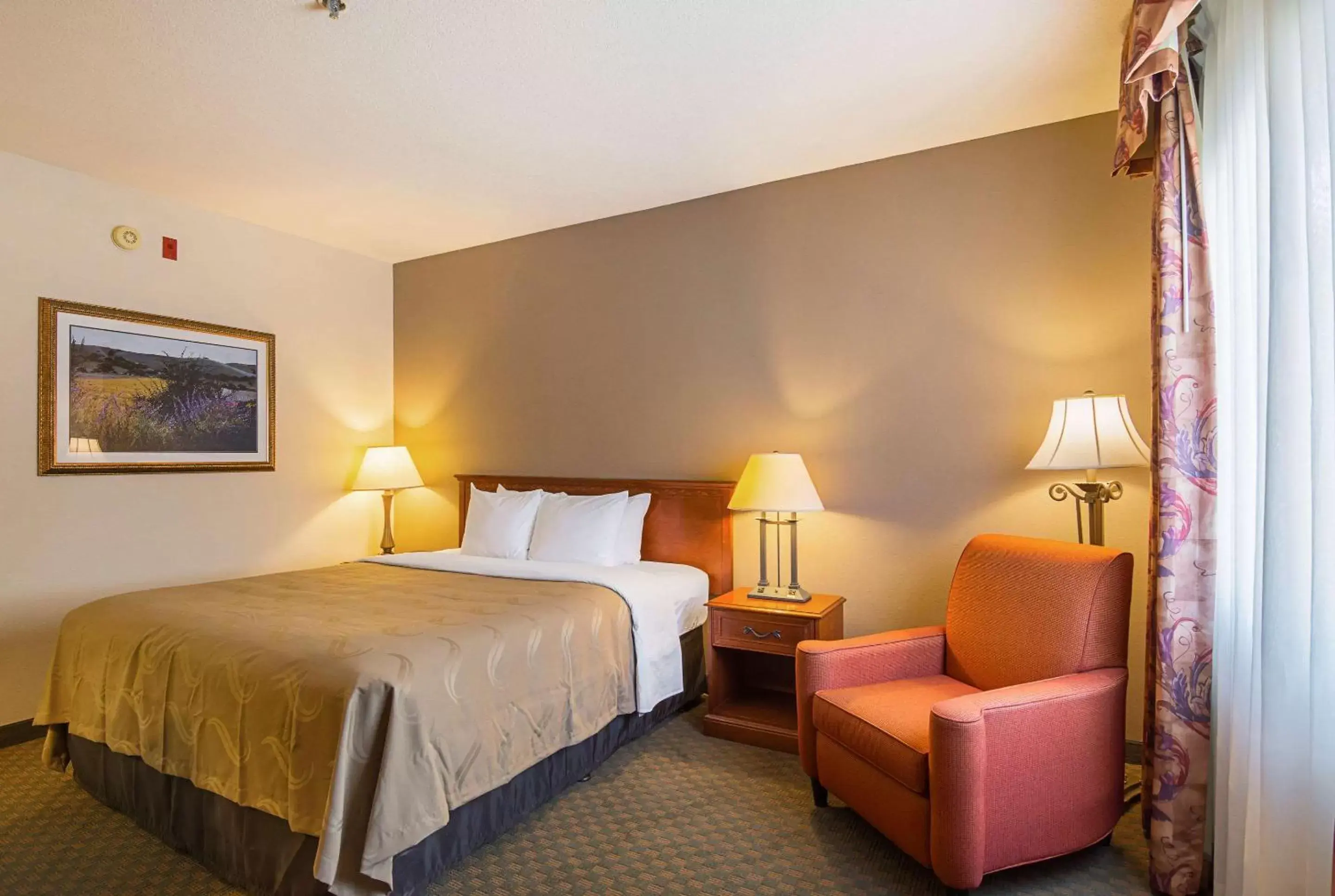 Photo of the whole room, Bed in Quality Inn Fresno Airport