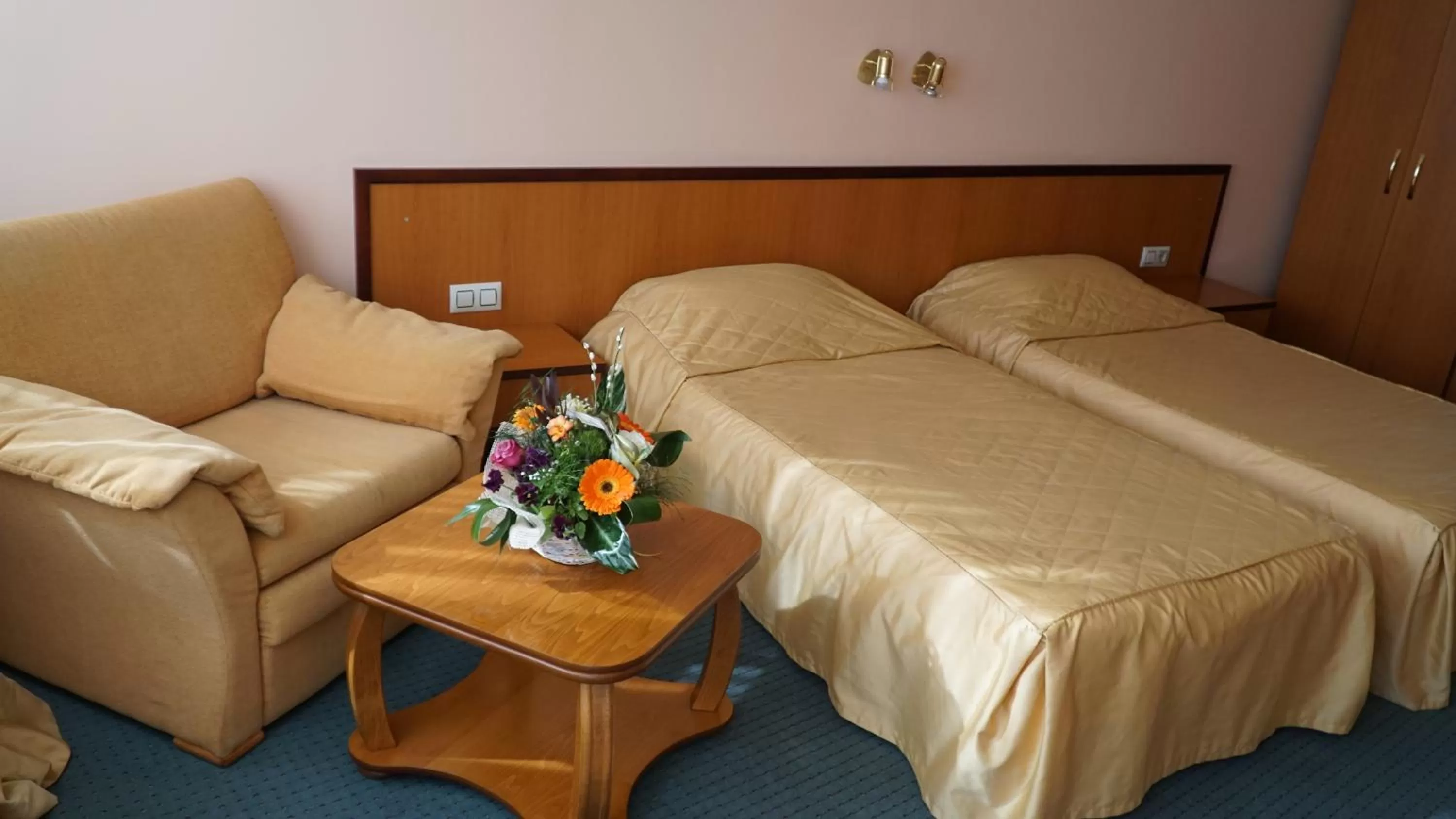 Standard Twin Room in Troyan Plaza Hotel
