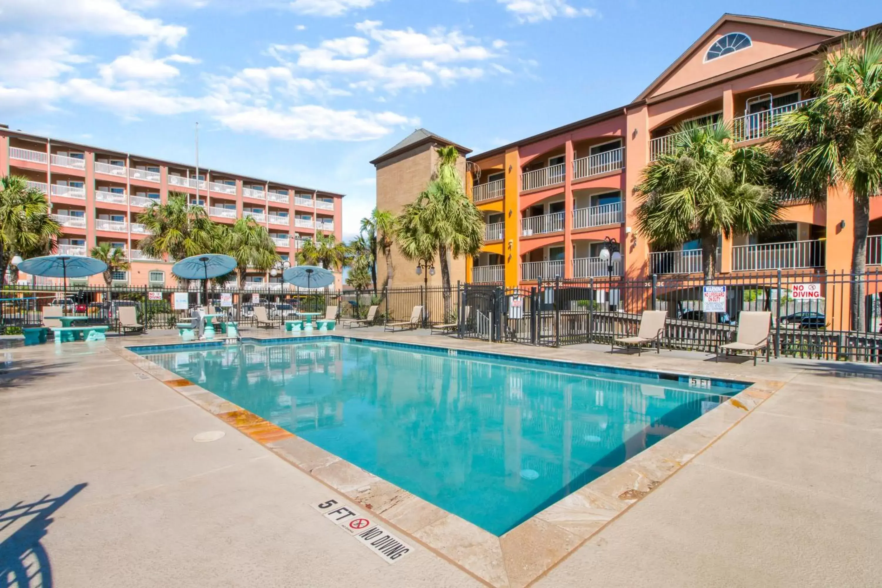 Pool view, Property Building in Beachfront Palms Hotel