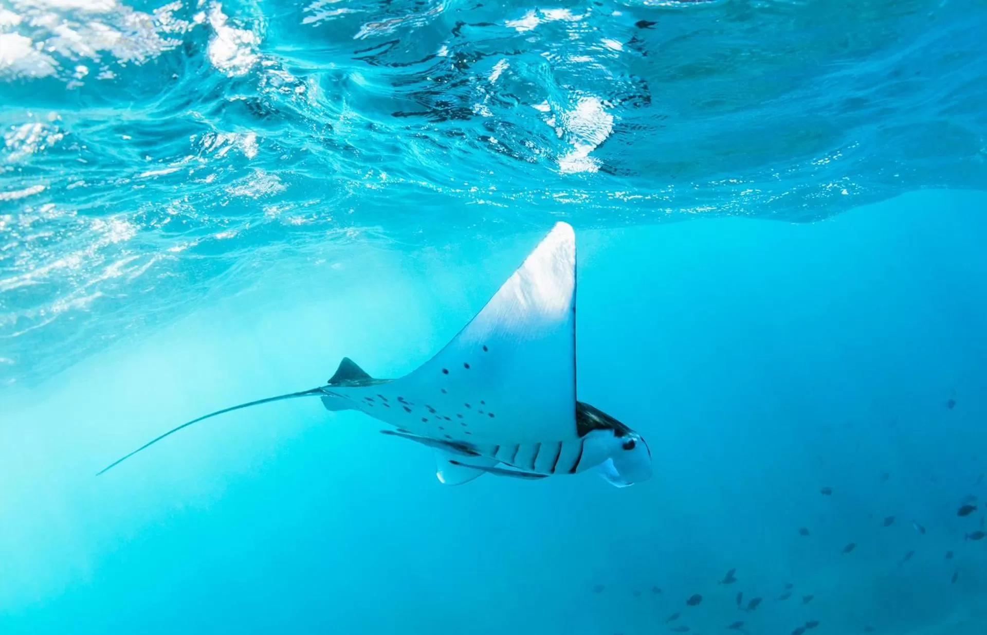 Mamamia Island Villa