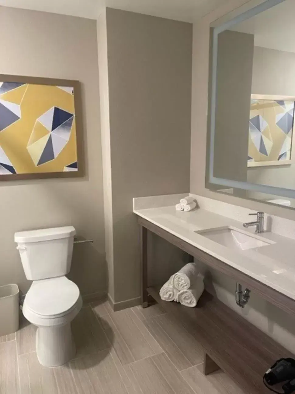 Bathroom in Comfort Suites Orlando Lake Buena Vista