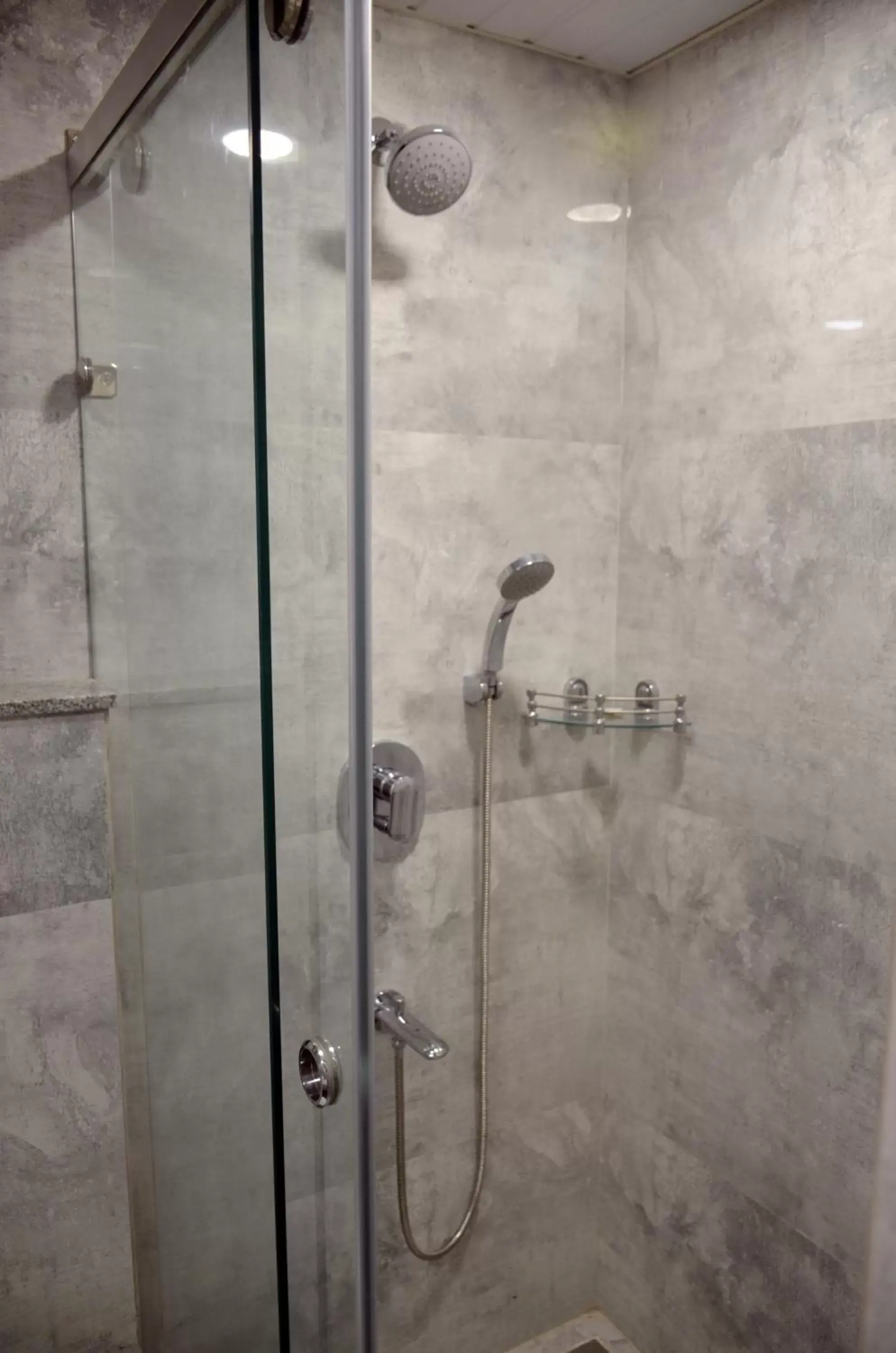 Shower, Bathroom in Hotel Radiance