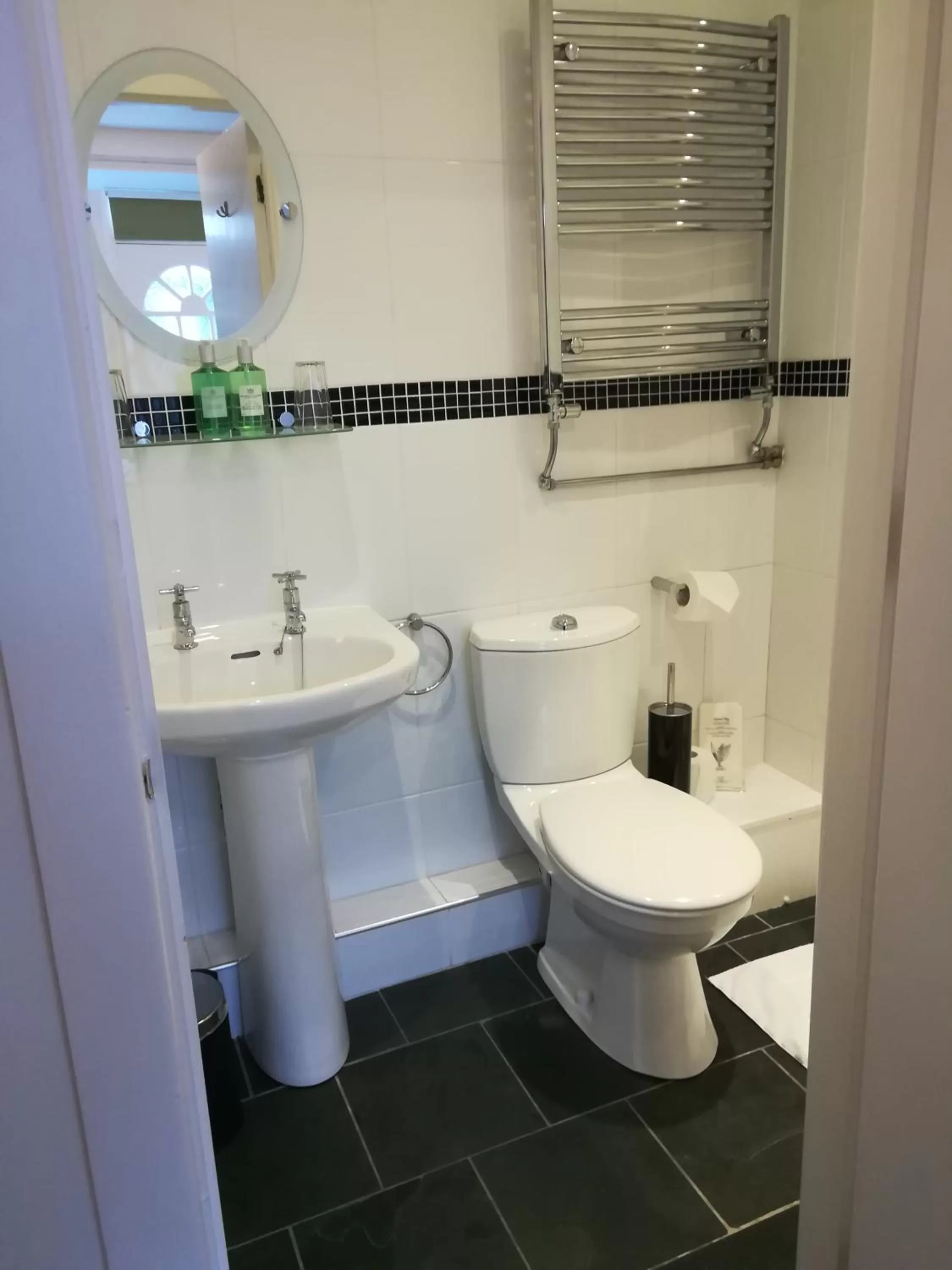 Shower, Bathroom in Aberconwy House B&B