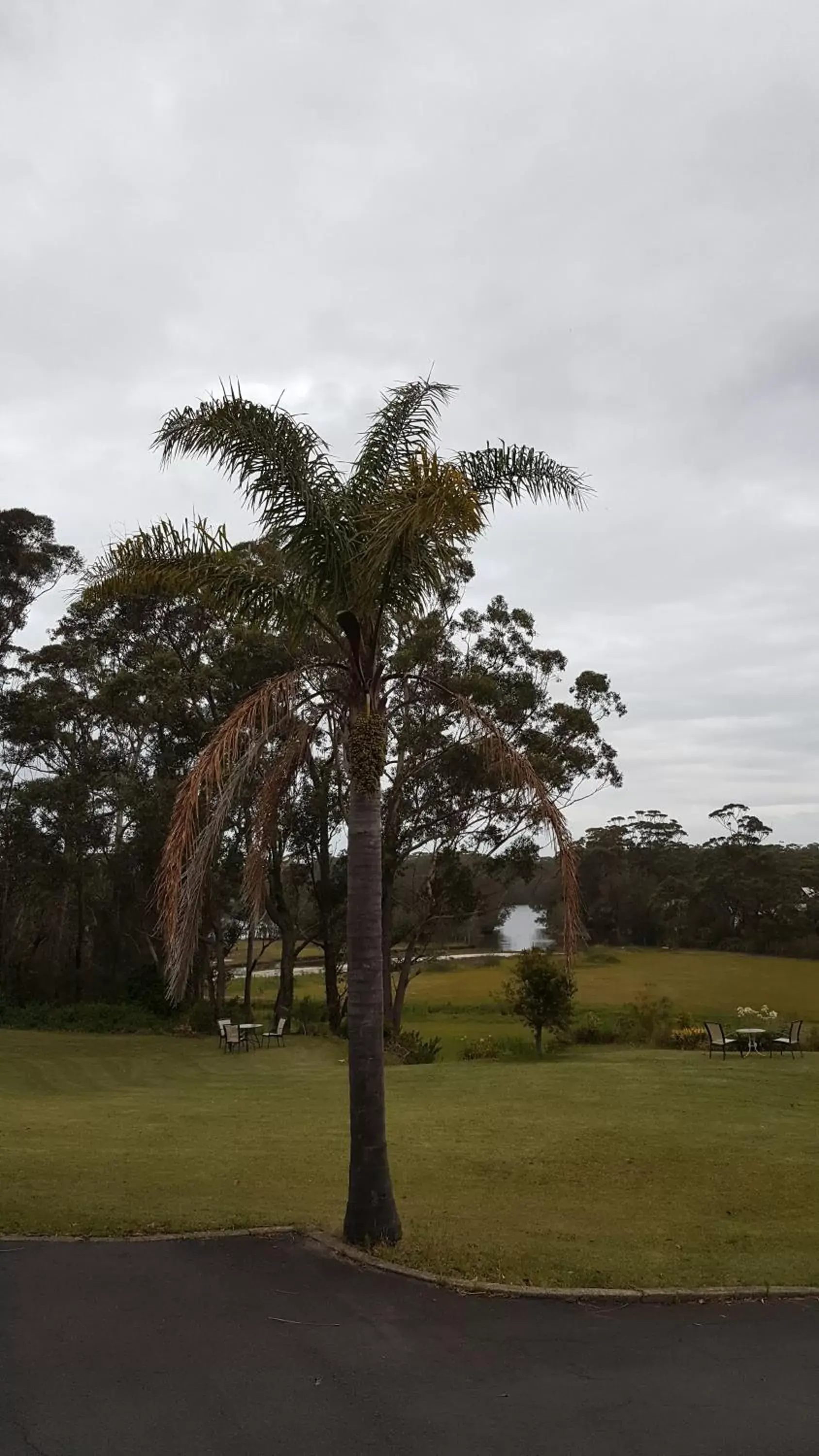 Garden in Tabourie Lake Motor Inn