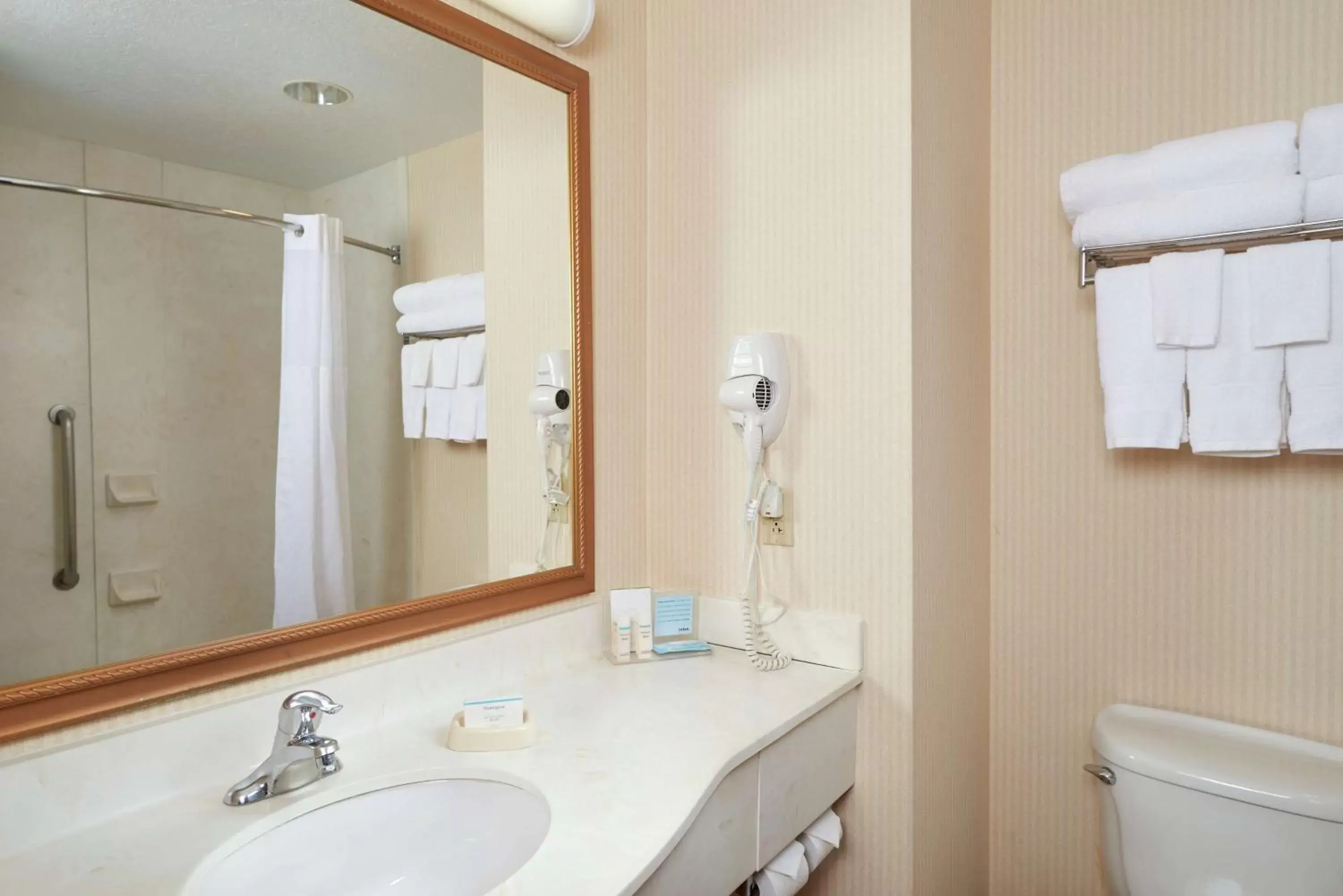 Bathroom in Hampton Inn & Suites Roswell