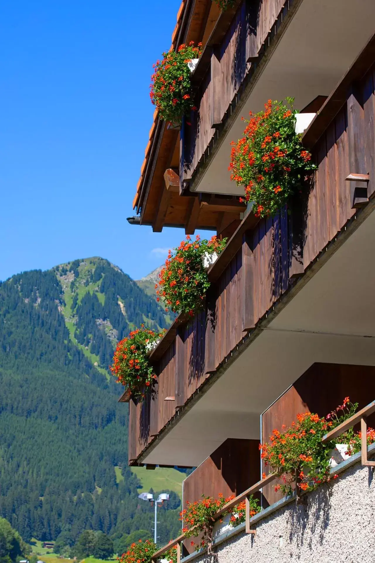 Property Building in Sport-Lodge Klosters