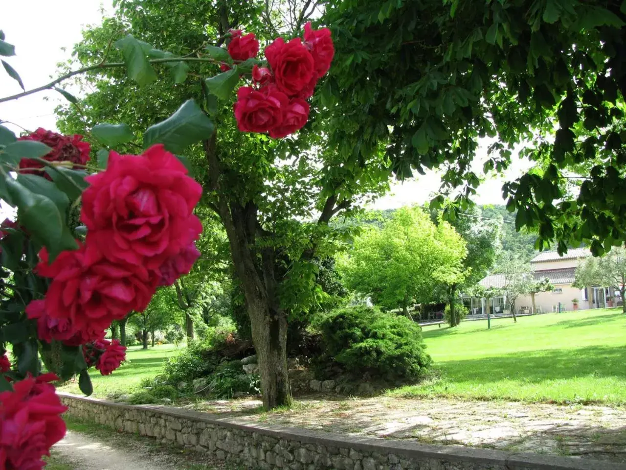 Garden in Gîte de groupe 16p, 7 ch, 6 sdb, PARC et SALLE DE RECEPTION