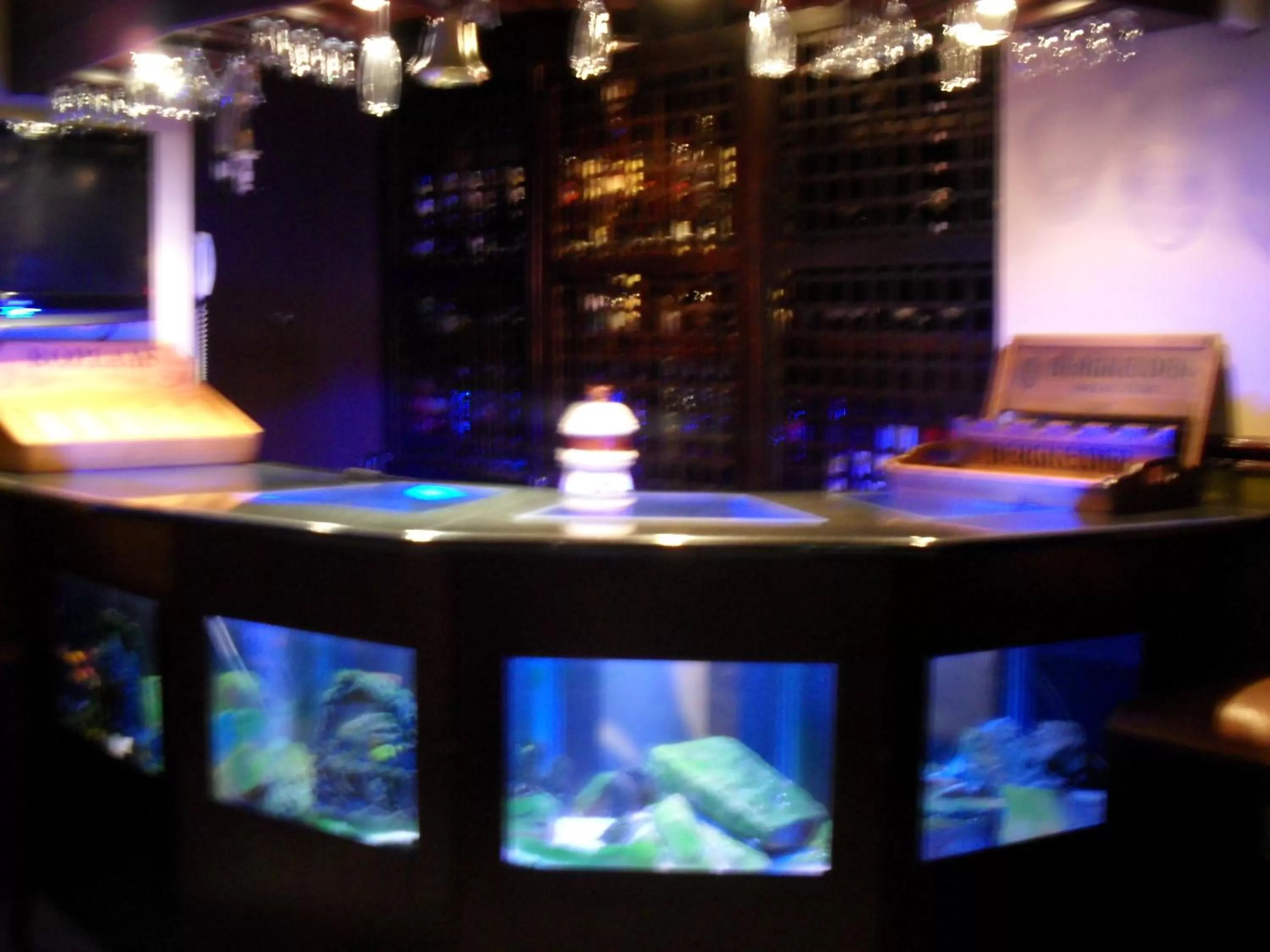 Lounge or bar in Chapman Hotel and Conference Centre