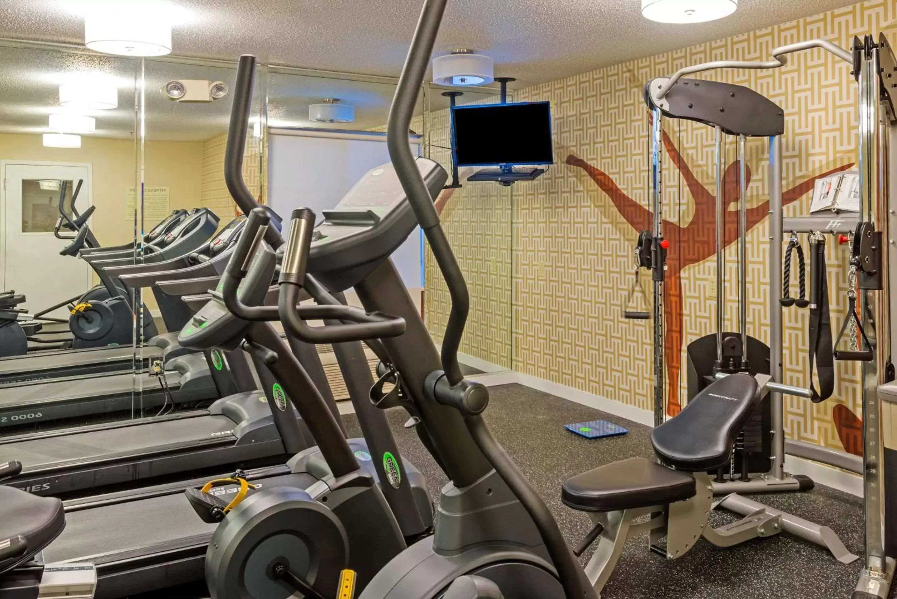 Fitness centre/facilities, Fitness Center/Facilities in MainStay Suites Raleigh - Cary