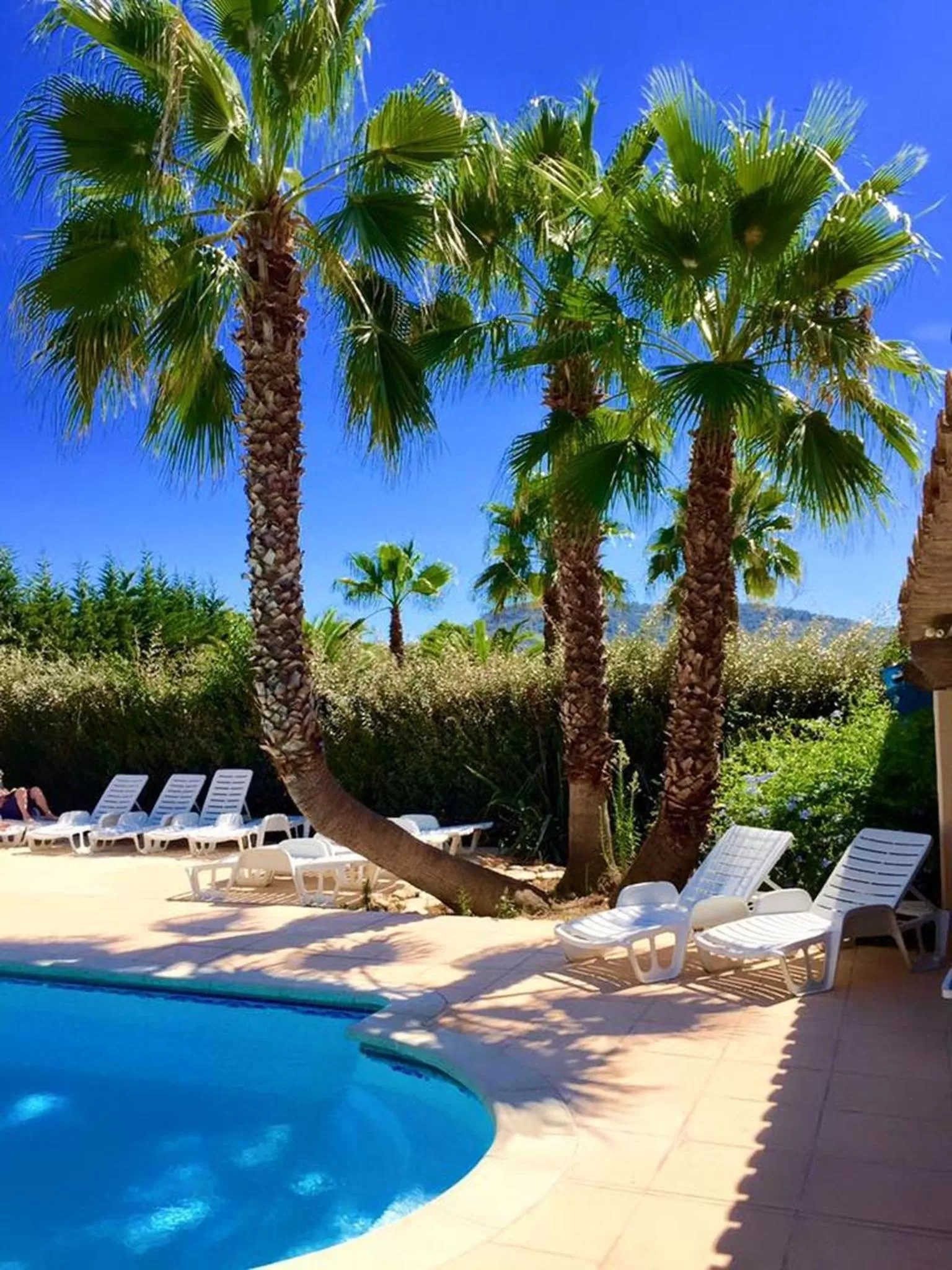 Swimming pool in Domaine de l'Aufrene