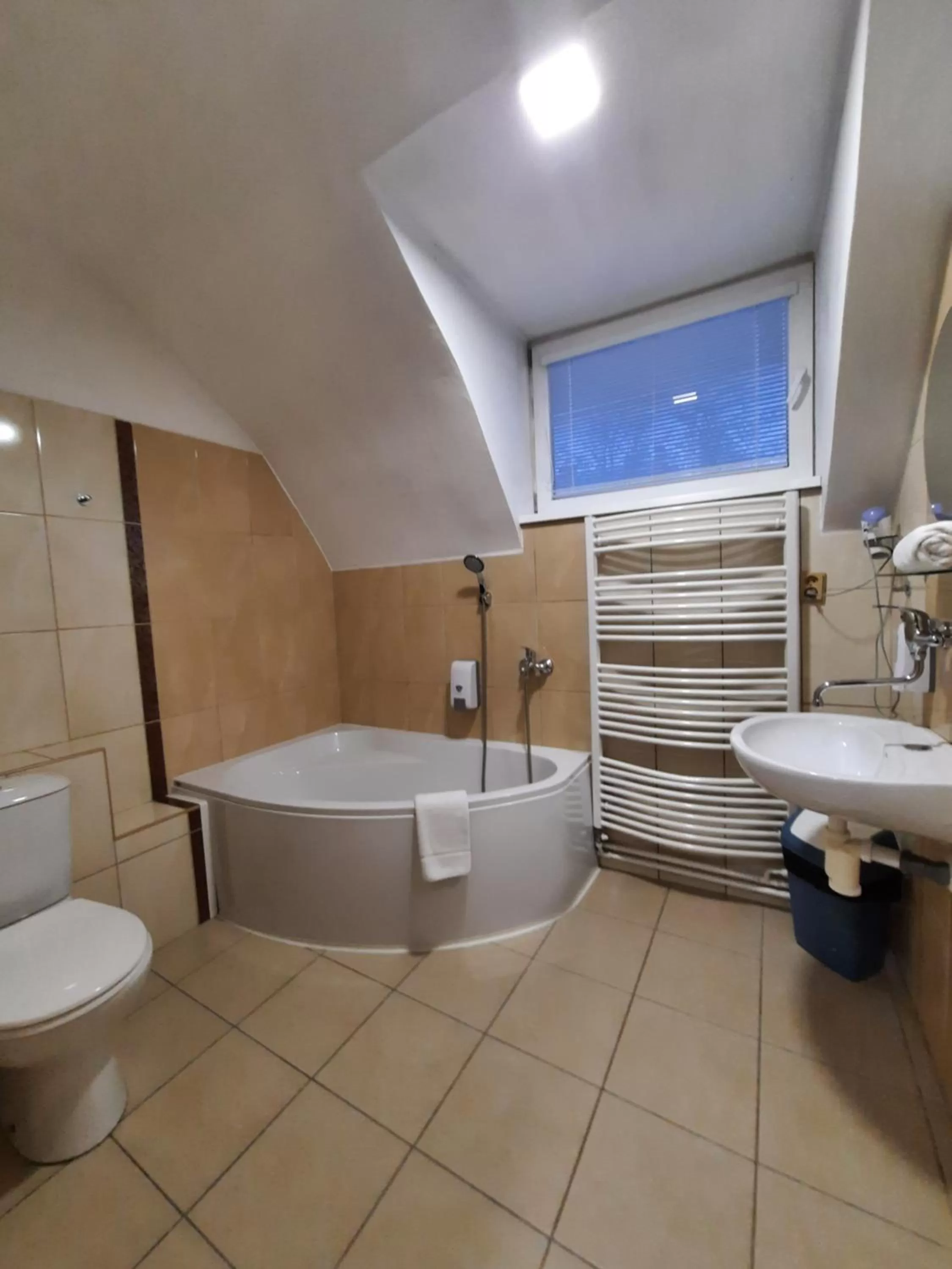 Shower in Hotel Boršičanka