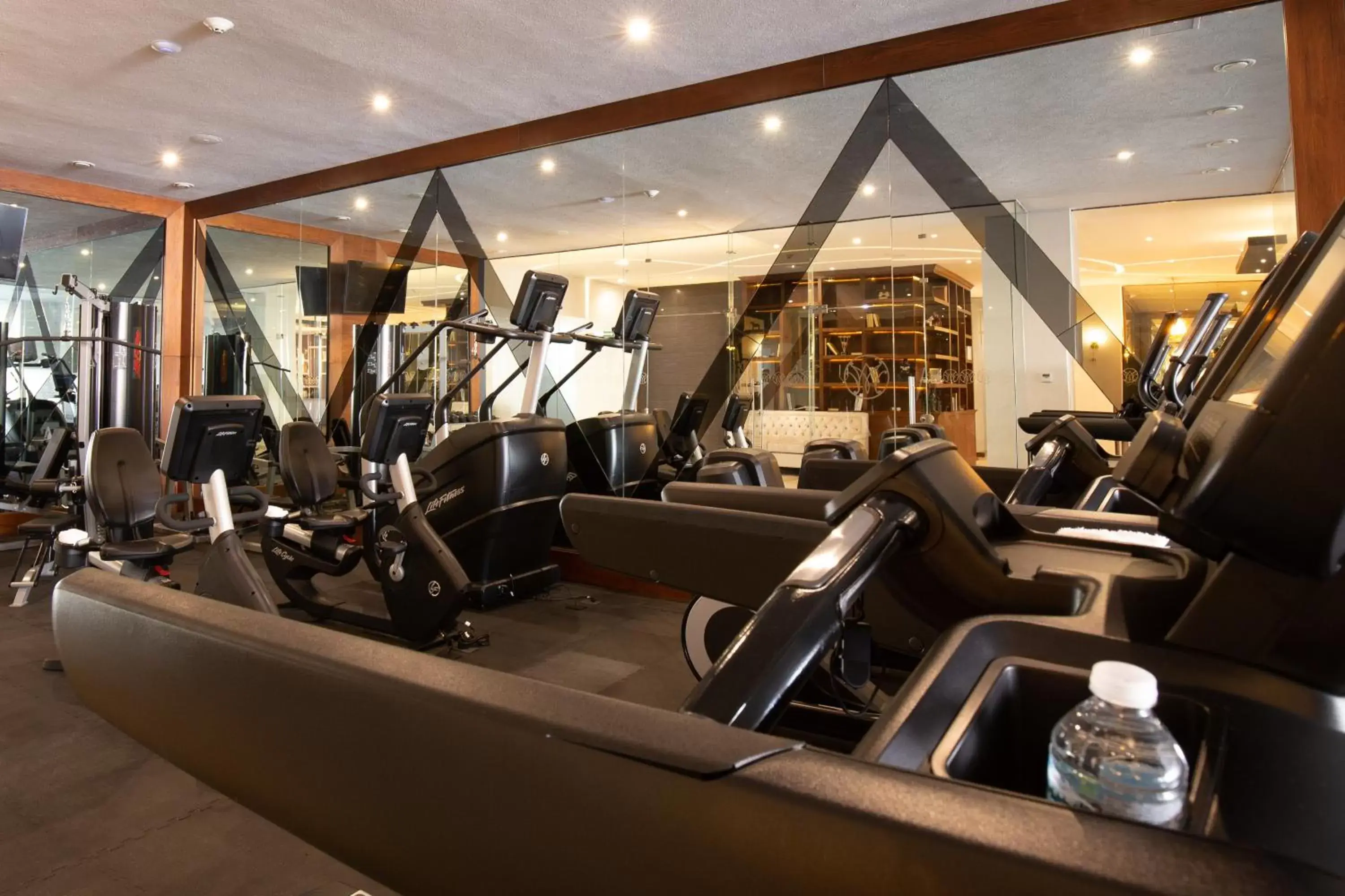 Fitness centre/facilities, Fitness Center/Facilities in HOTEL & SPA MANSION SOLIS by HOTSSON
