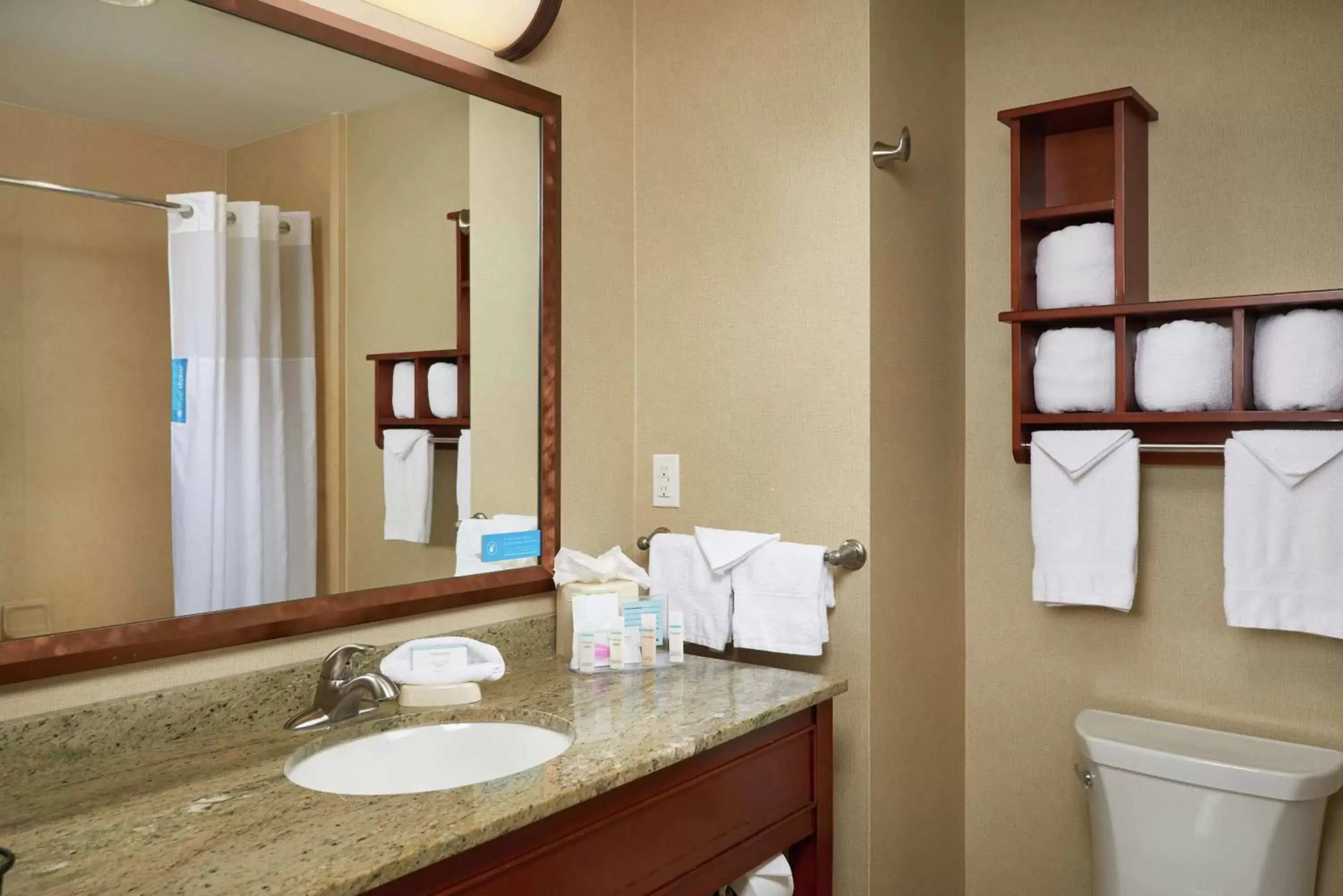 Bathroom in Hampton Inn and Suites Salem