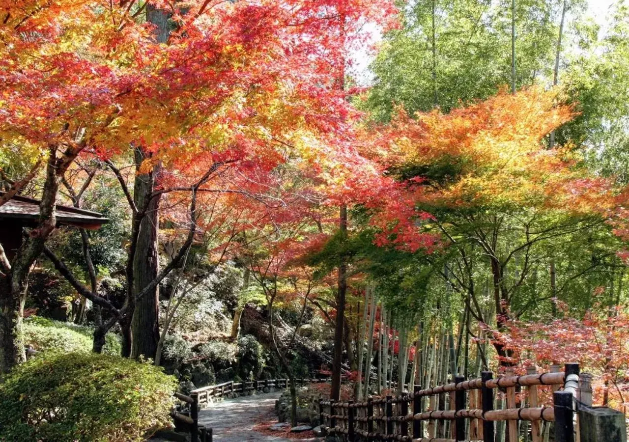 Nearby landmark, Natural Landscape in APA Hotel Saga Ekimae Chuo