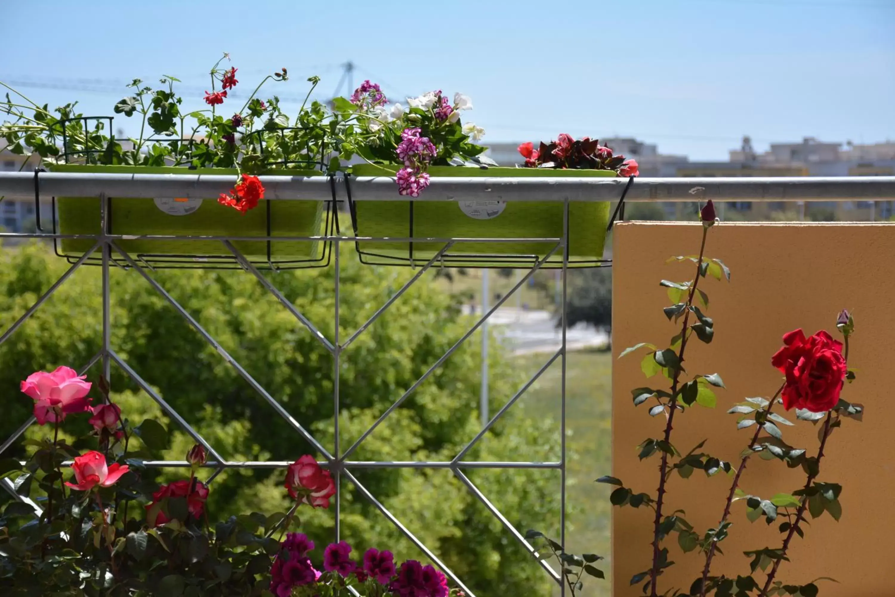 Balcony/Terrace in Giardini e Mare