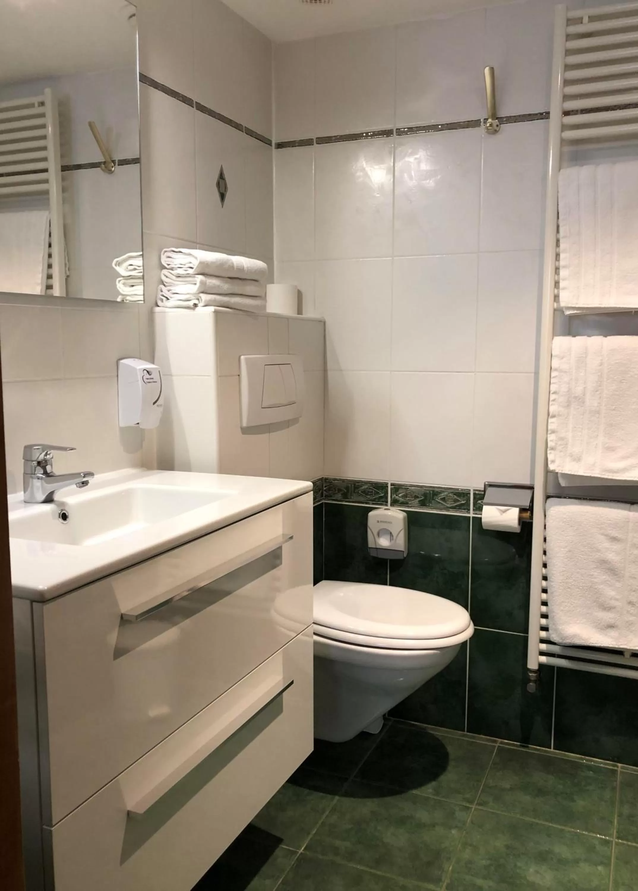 Toilet in Logis Hôtel Restaurant Au Cerf d'Or