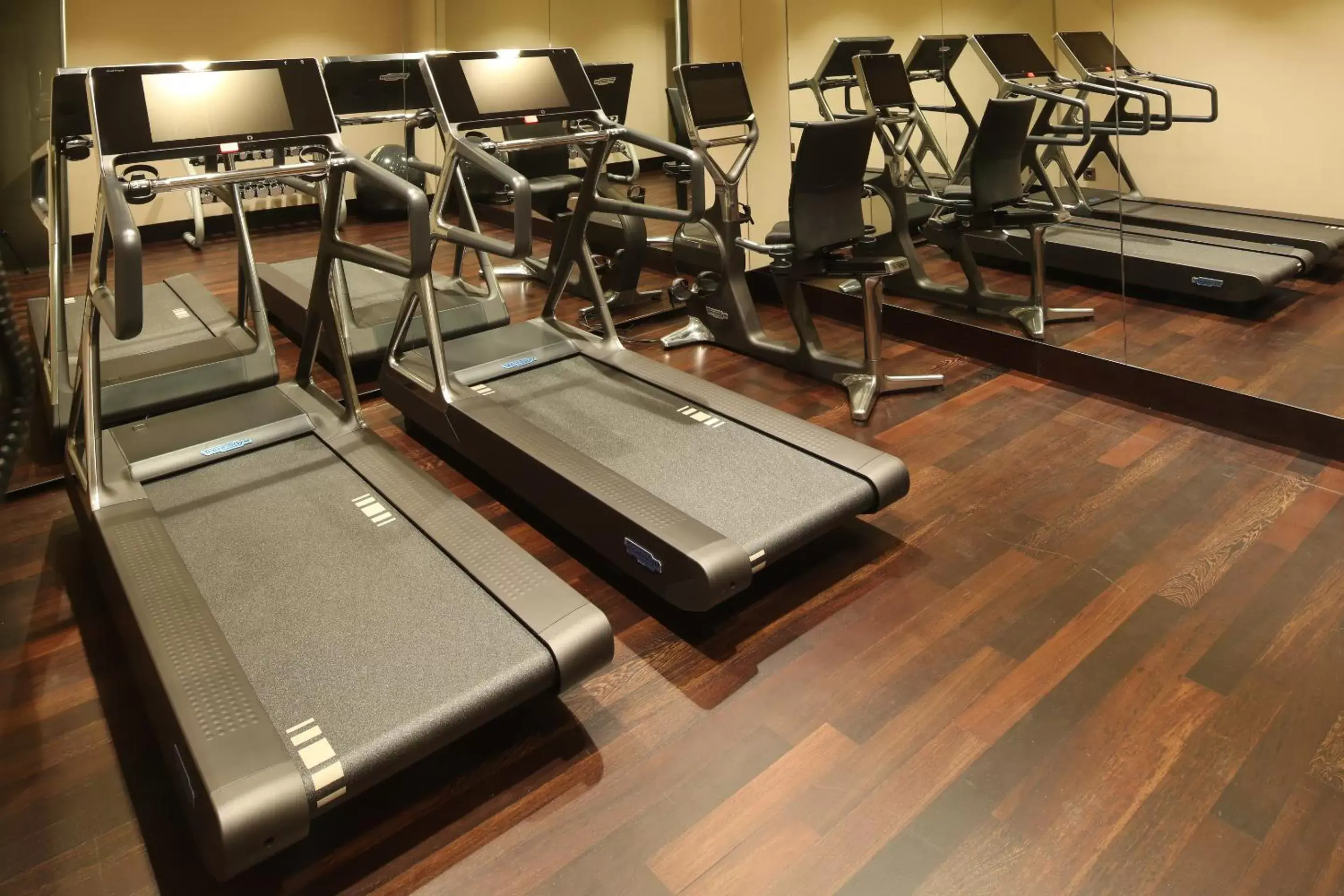 Fitness centre/facilities, Fitness Center/Facilities in BERDS Chisinau Mgallery Hotel Collection