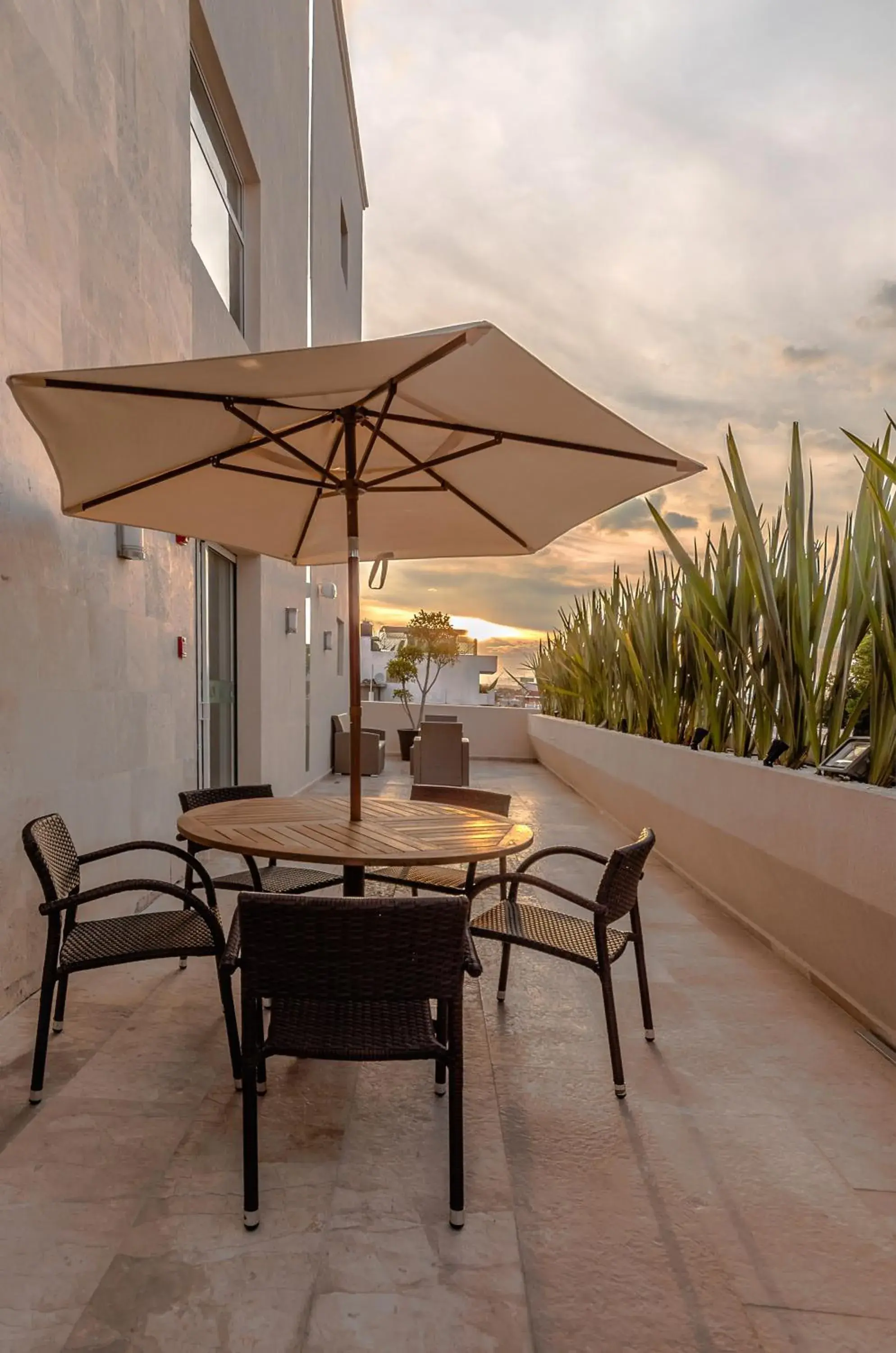 Balcony/Terrace in Hotel Zenith