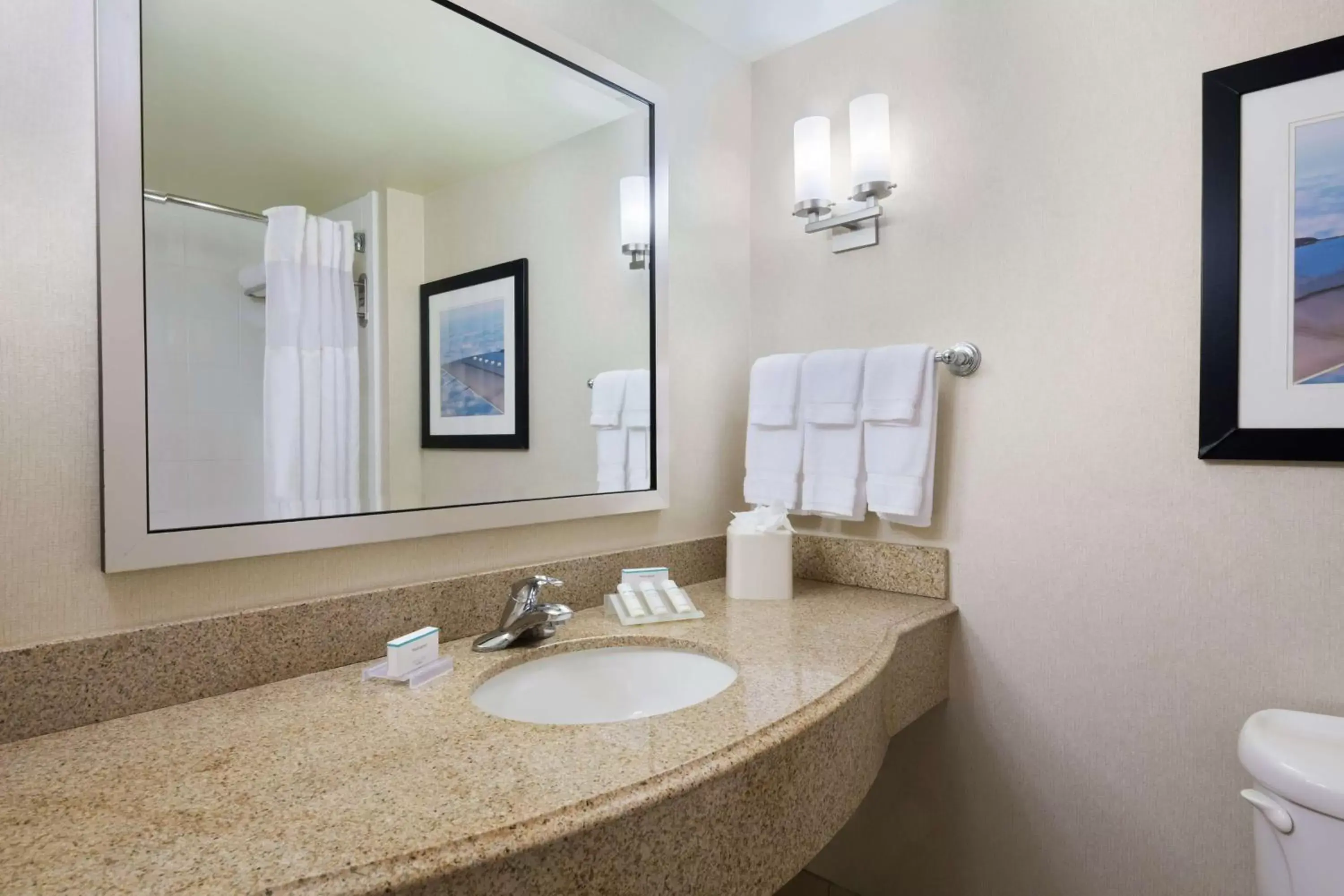 Bathroom in Hilton Garden Inn Tampa Airport/Westshore