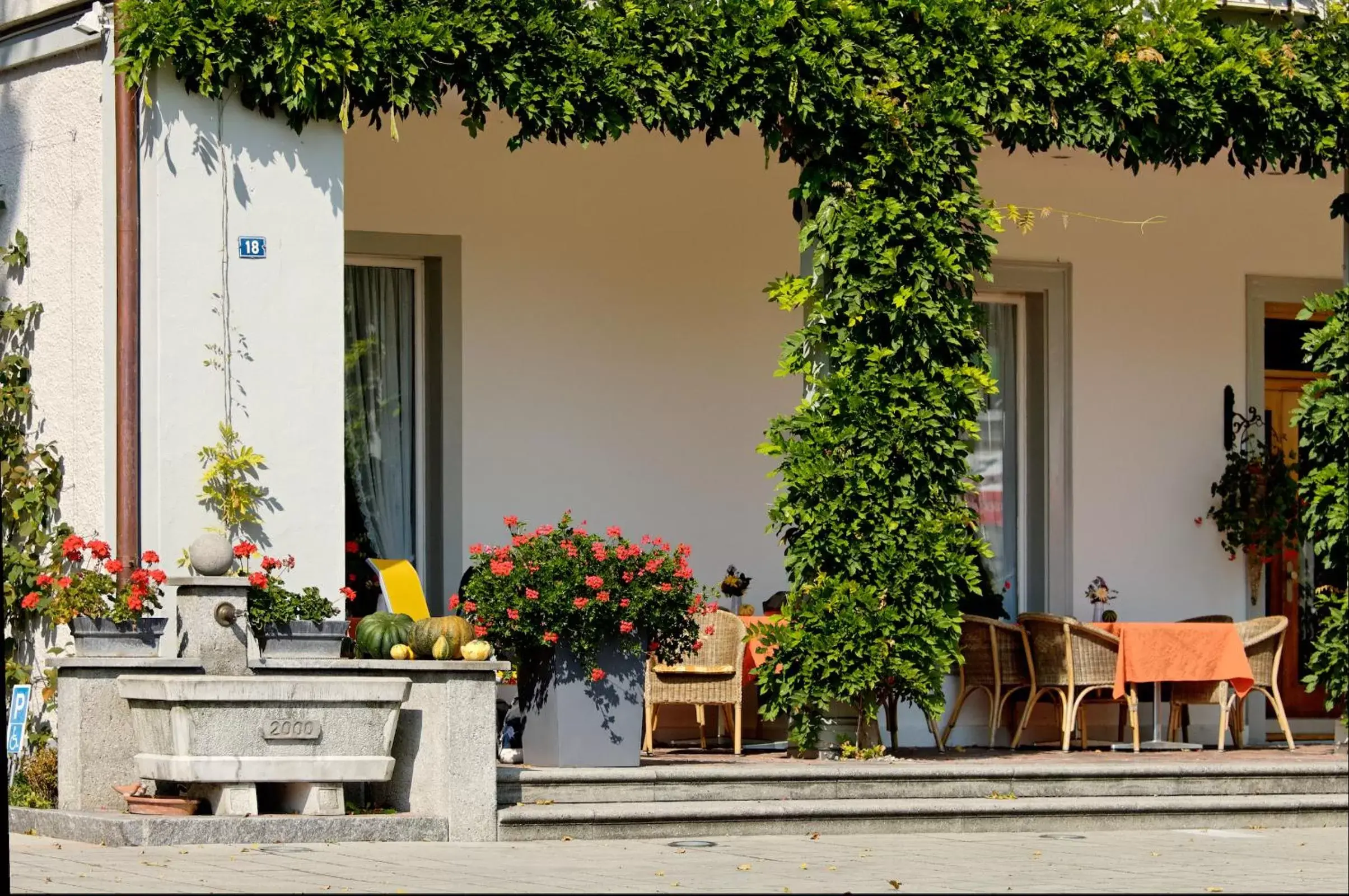 Garden in Hotel Beausite