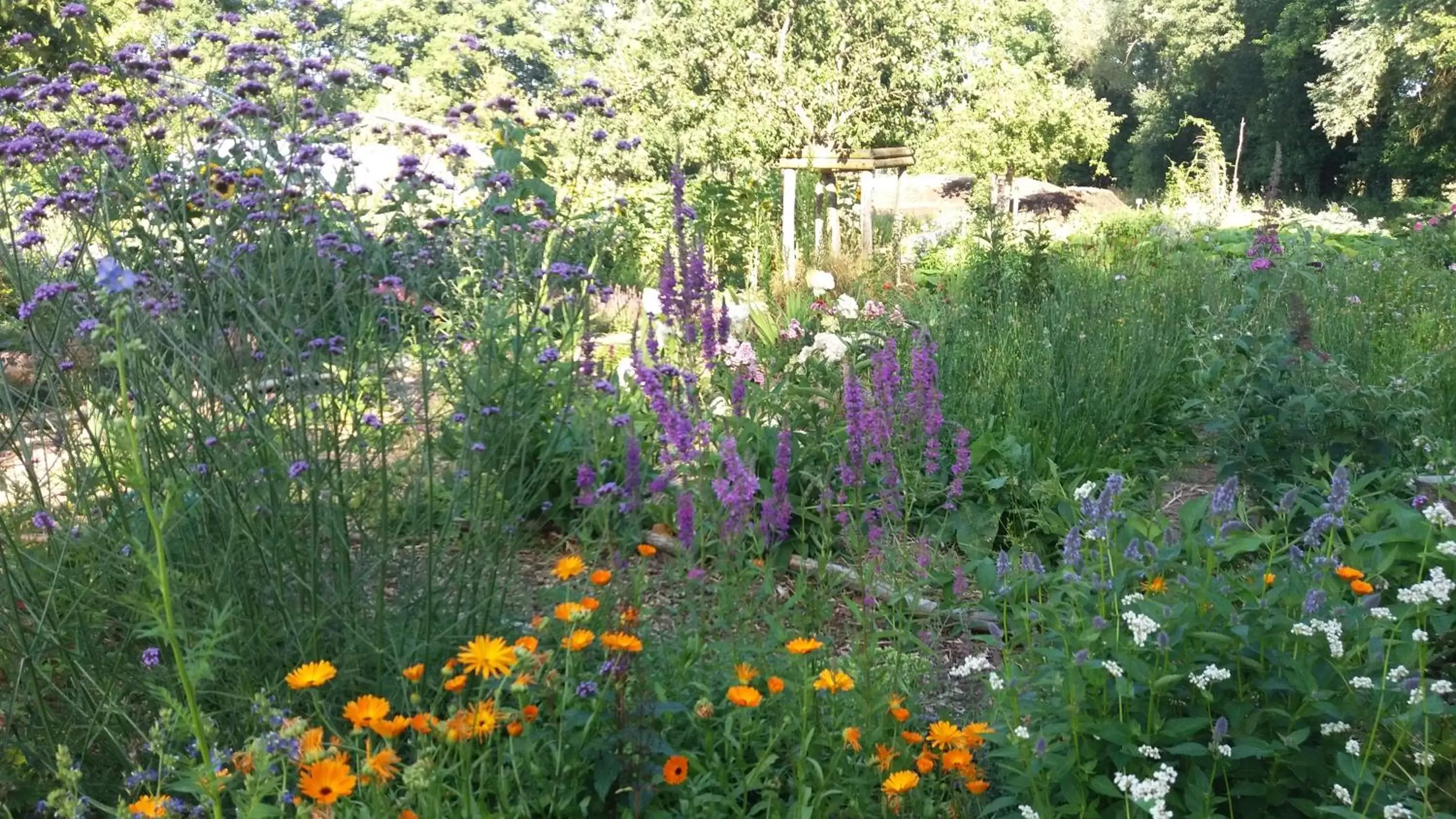 Garden in De Geheime Tuin - Huisje in 't Groen