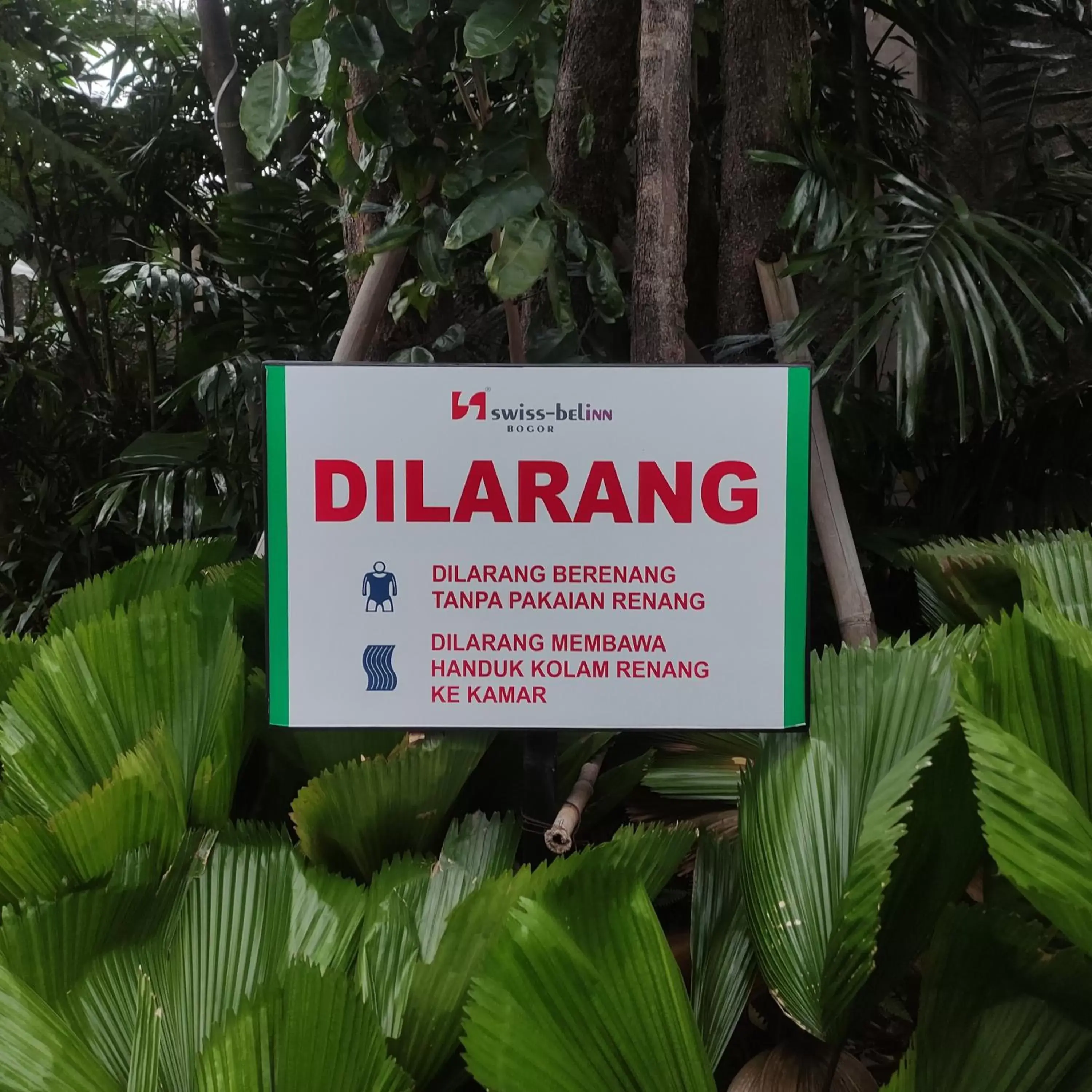 Swimming pool in Swiss-Belinn Bogor Swimming pool in Swiss-Belinn Bogor