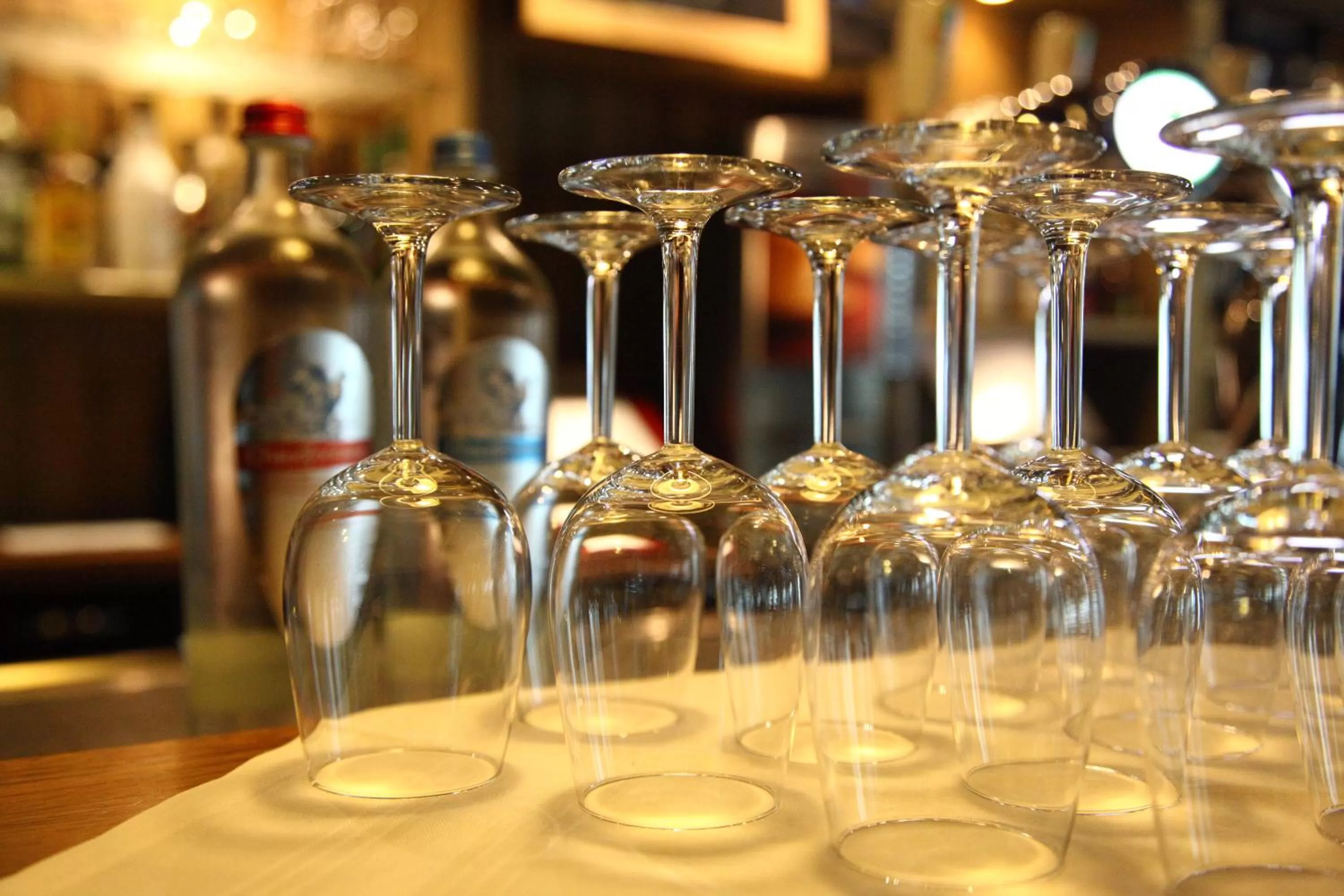 Lounge or bar in De Witte Hoeve