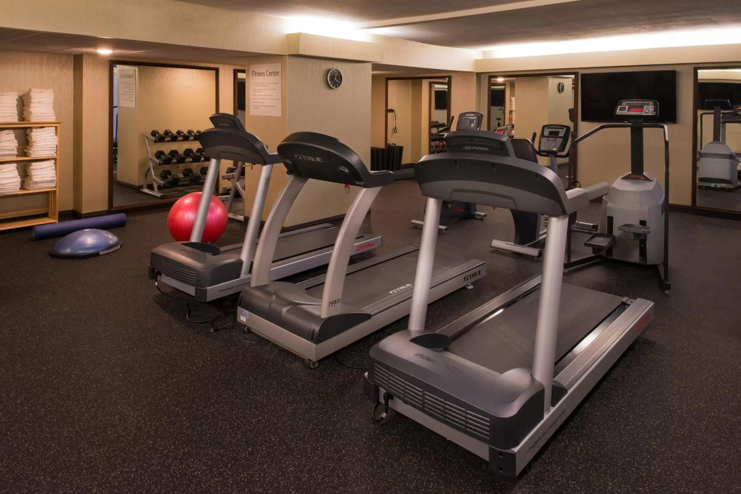 Fitness centre/facilities, Fitness Center/Facilities in Holiday Inn St Louis Downtown/Convention Center, an IHG Hotel