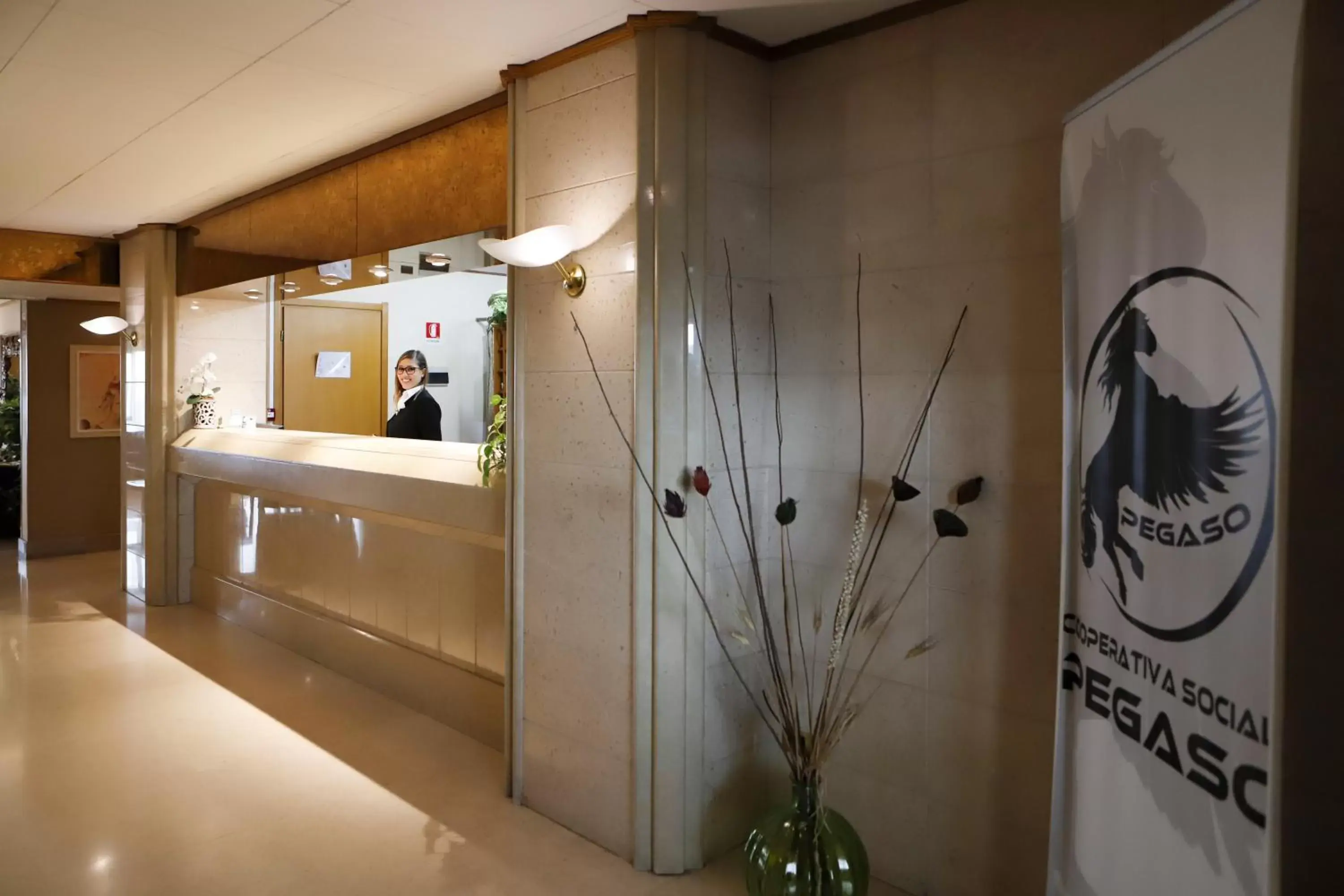 Lobby or reception, Bathroom in Pegasus Hotel