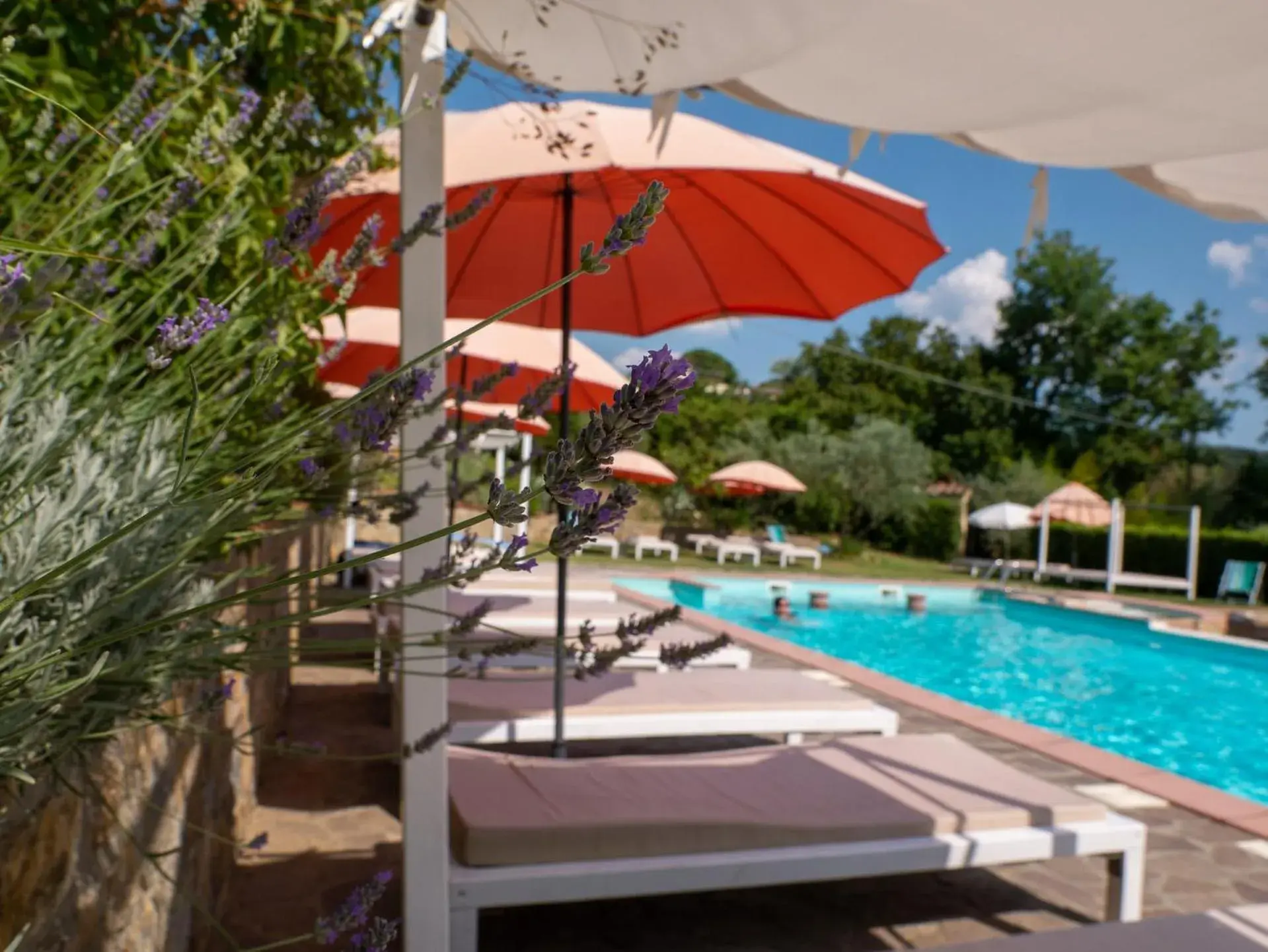 Pool view, Swimming Pool in Hotel Villa San Giorgio