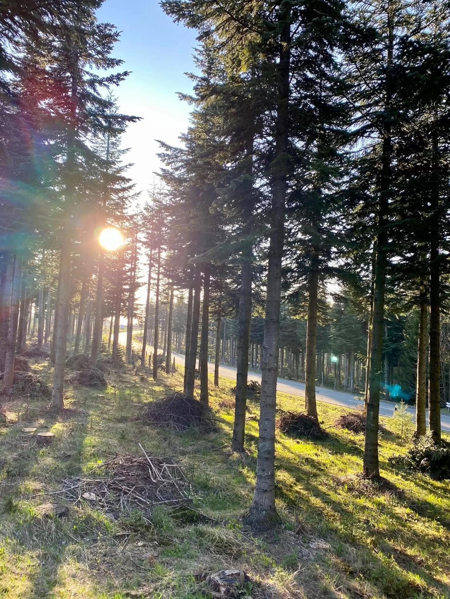 Natural landscape in Astenturm Hotel