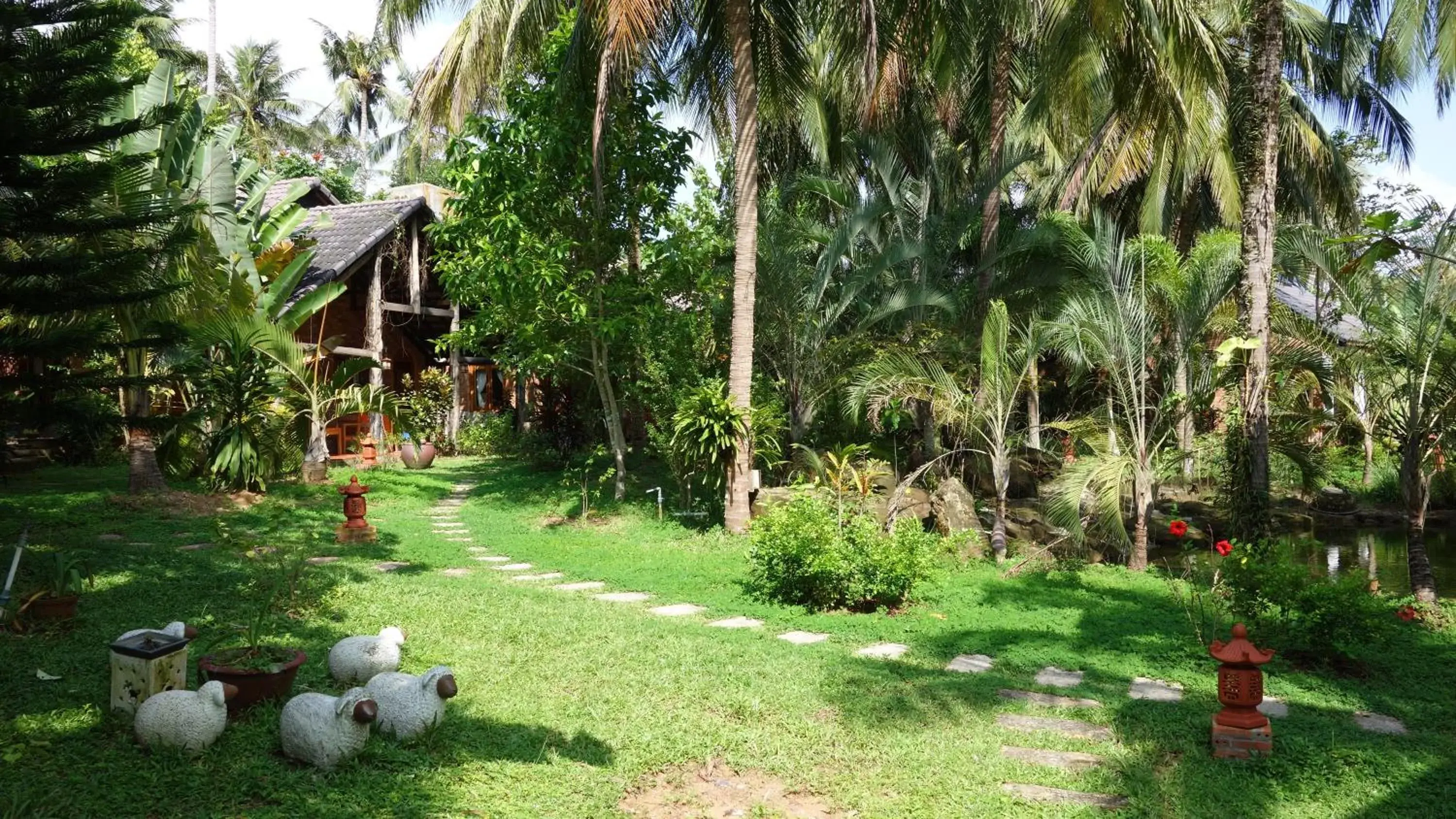 Garden in Coco Palm Beach Resort & Spa