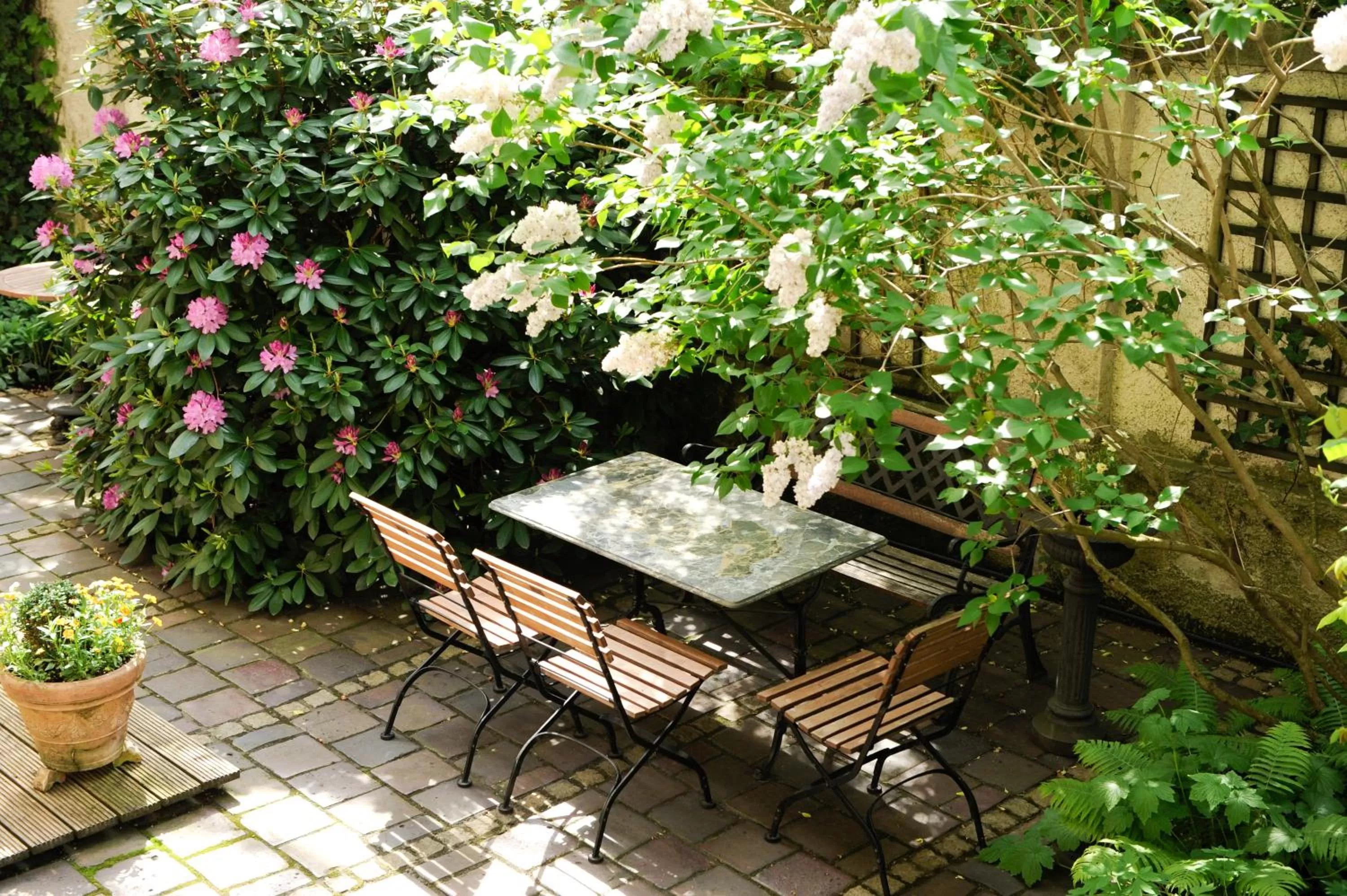 Garden in Boutique Hotel Splendid