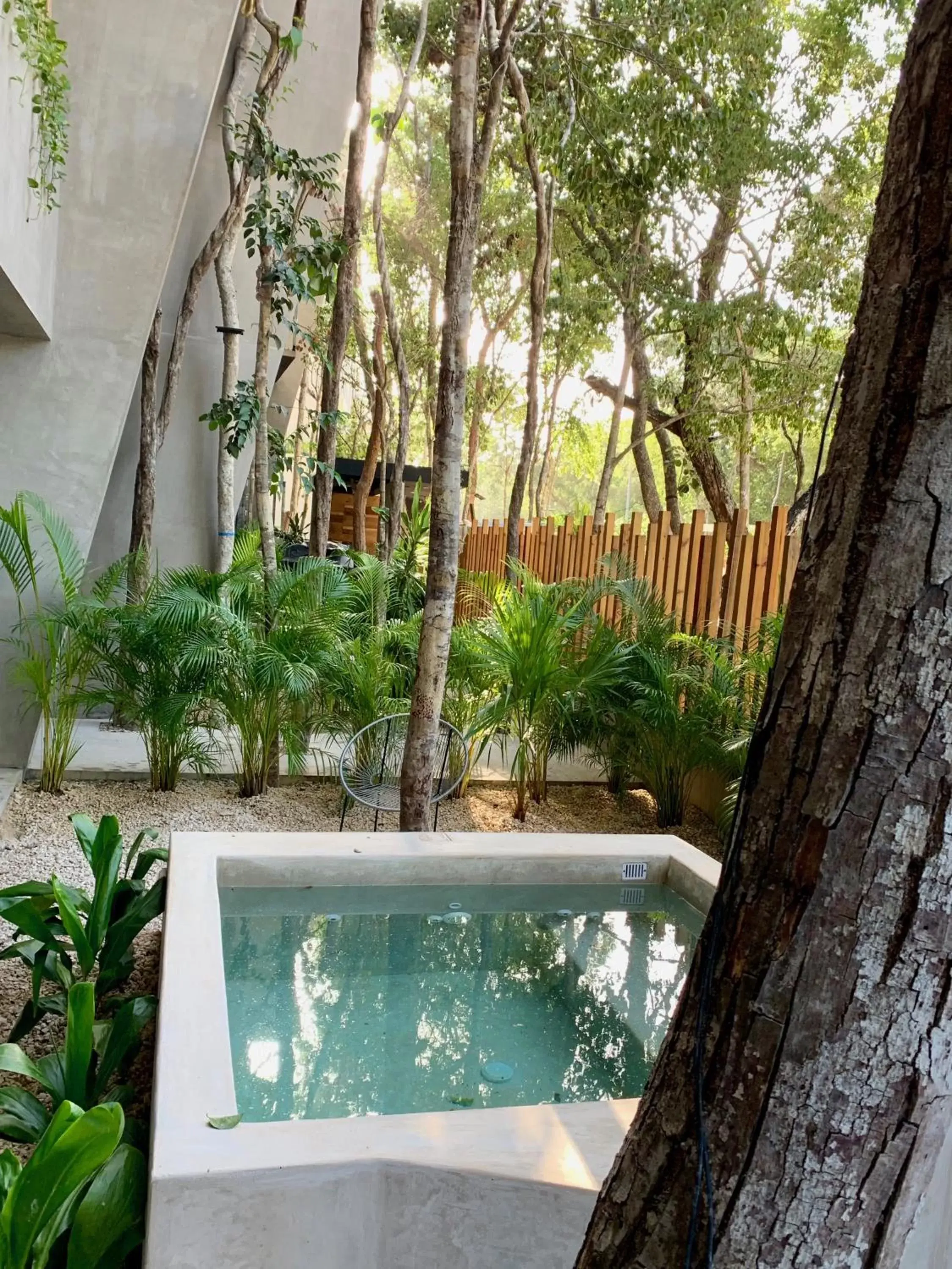 Swimming Pool in ARBA Tulum - Aldea Zama