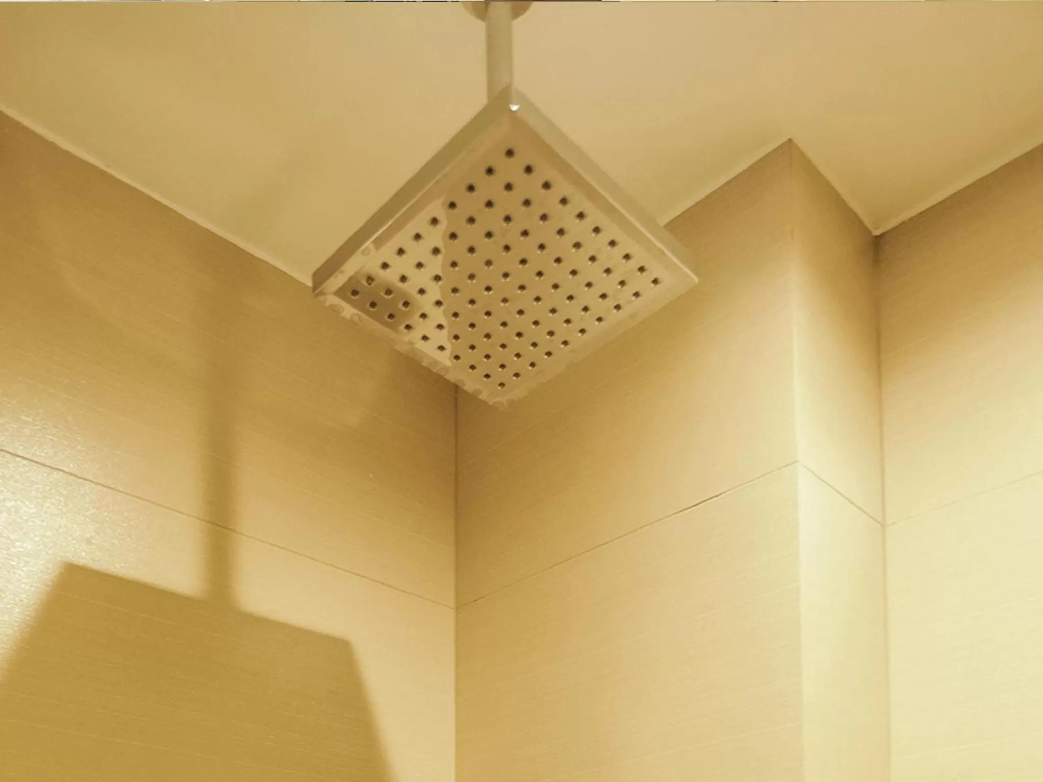 Shower in Go Hotels Manila Airport Road