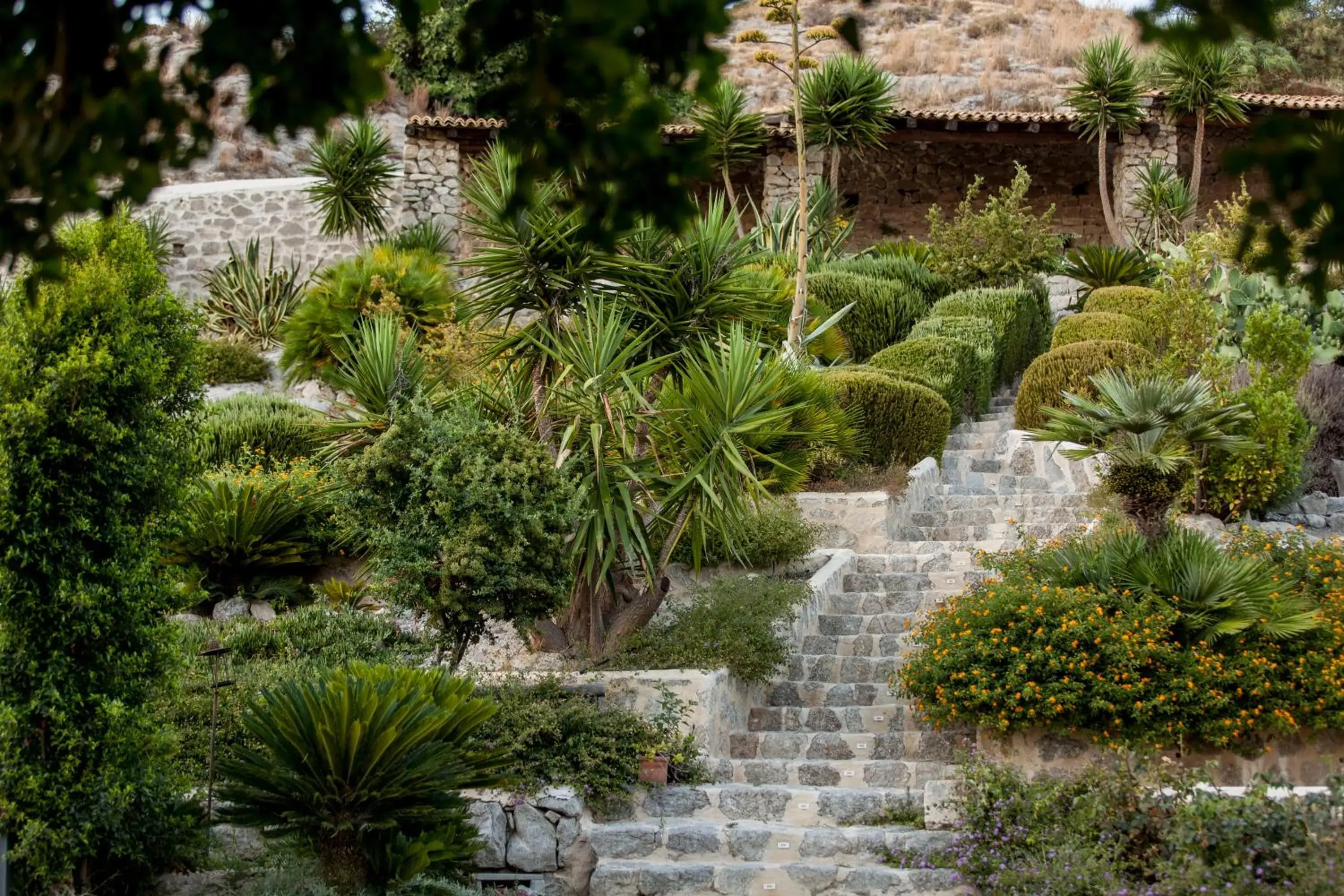 Garden in Masseria Agnello