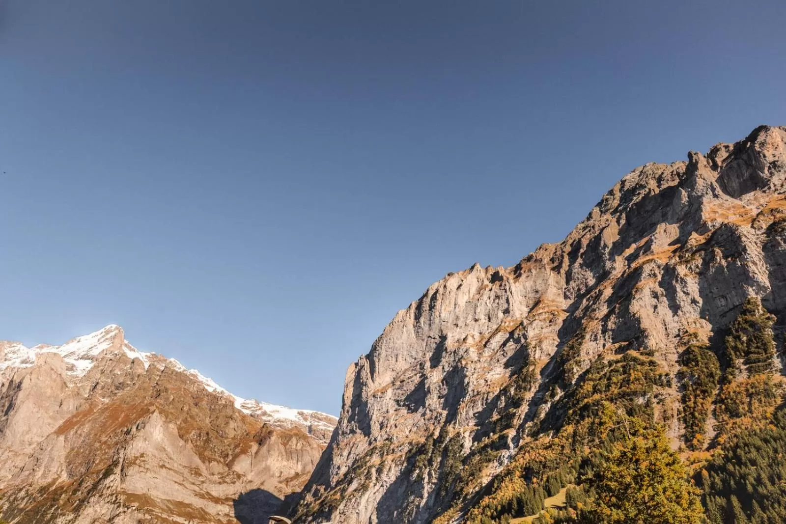 View (from property/room) in Hotel Fiescherblick