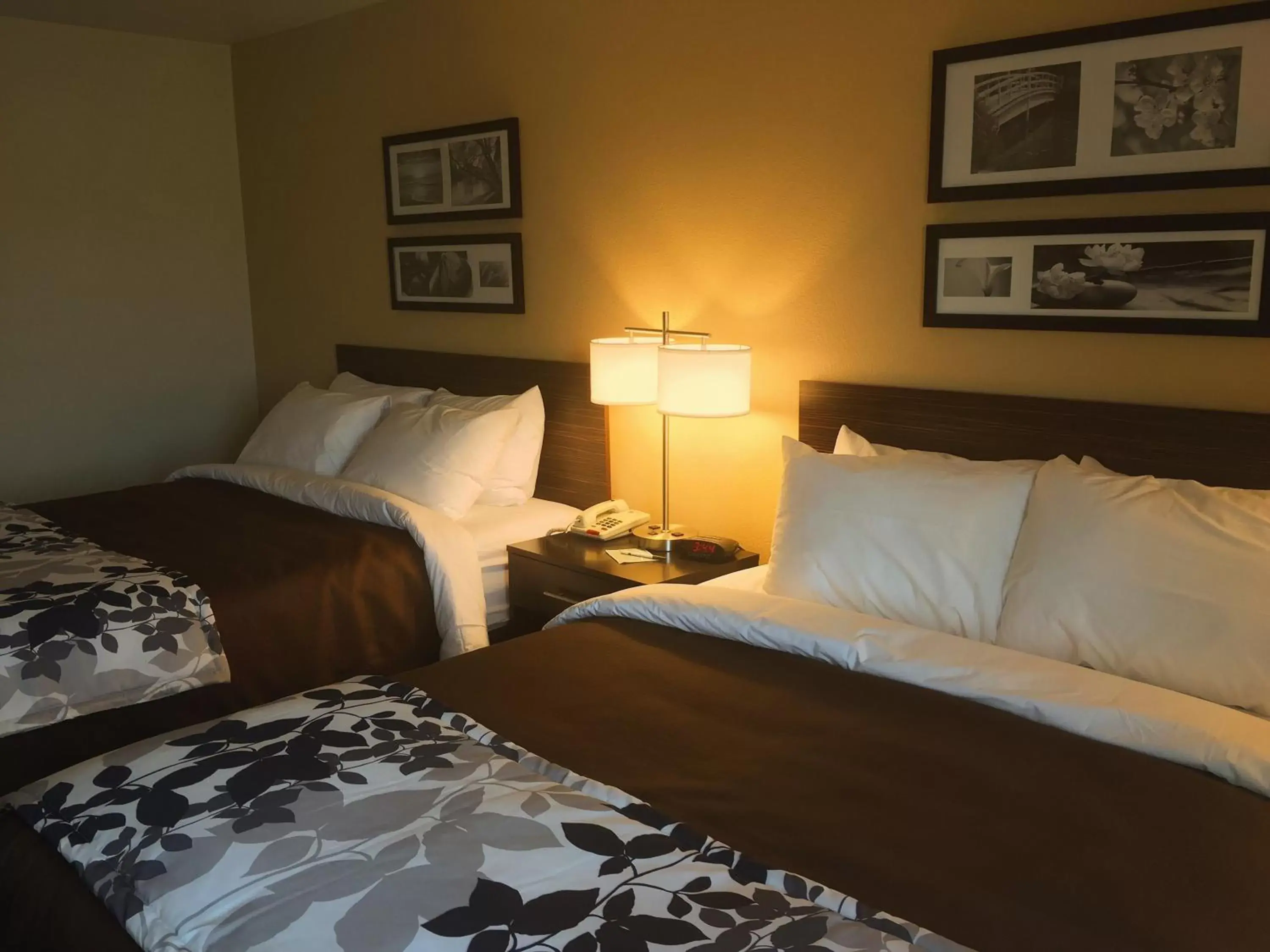 Bed in Sleep Inn & Suites Carlsbad Caverns Area