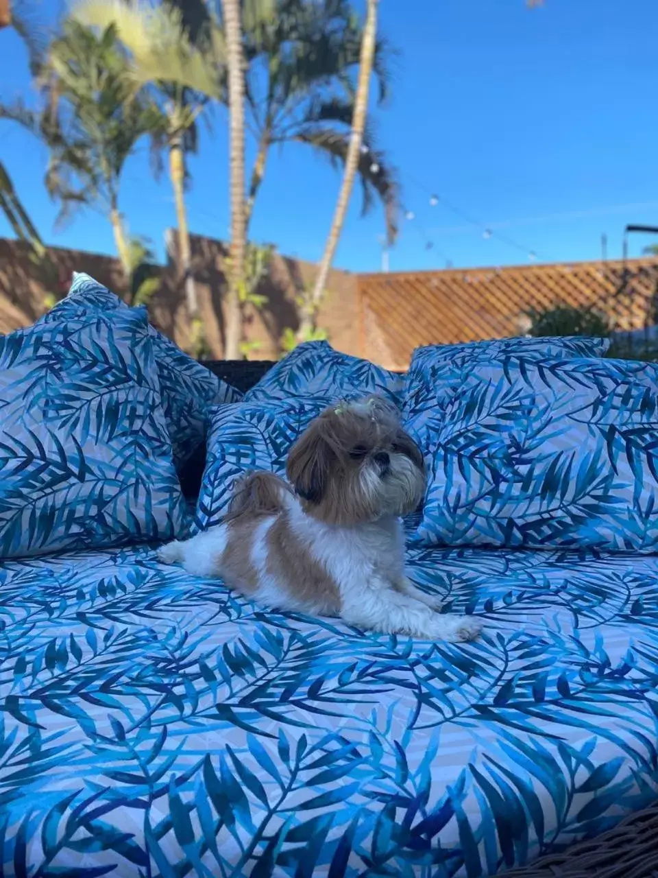 Hotel & Pousada Favareto Hotel & Pousada Favareto