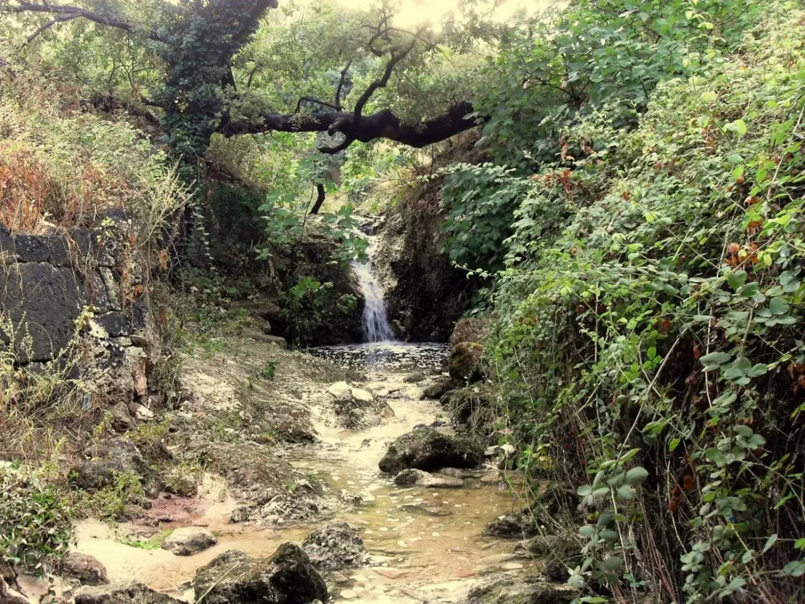 Natural Landscape in B&B Lo Smeraldo