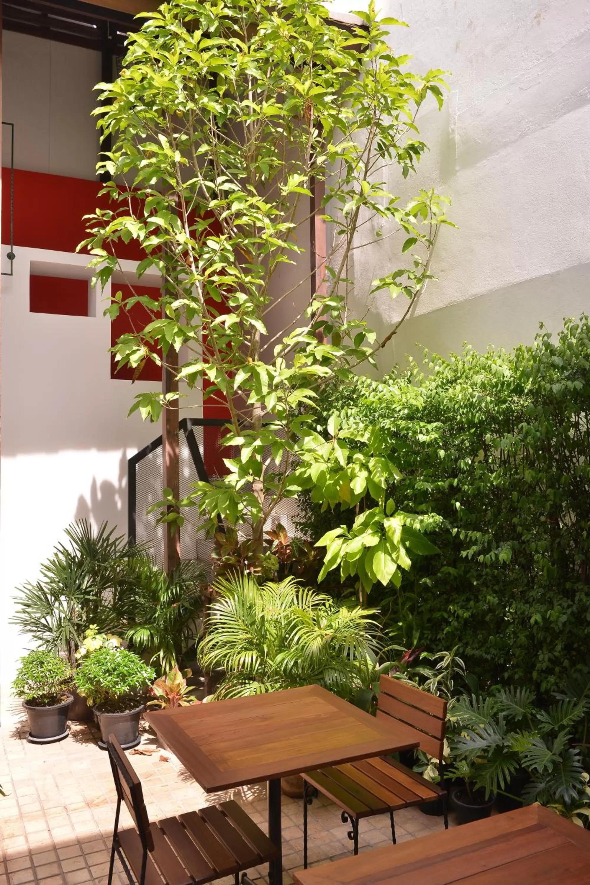 Garden in Neighbor Phuthon