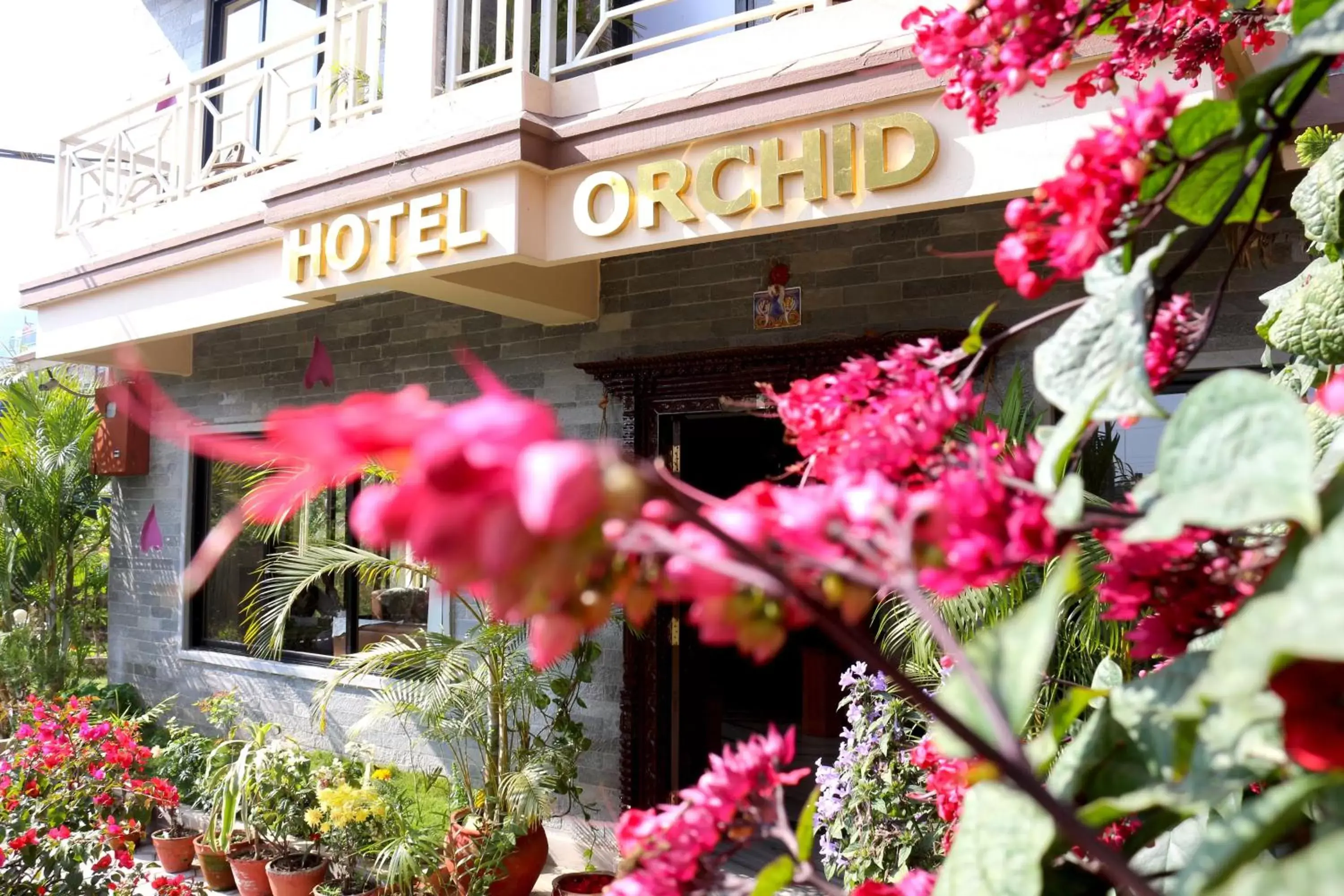 Garden, Property Building in Hotel Orchid