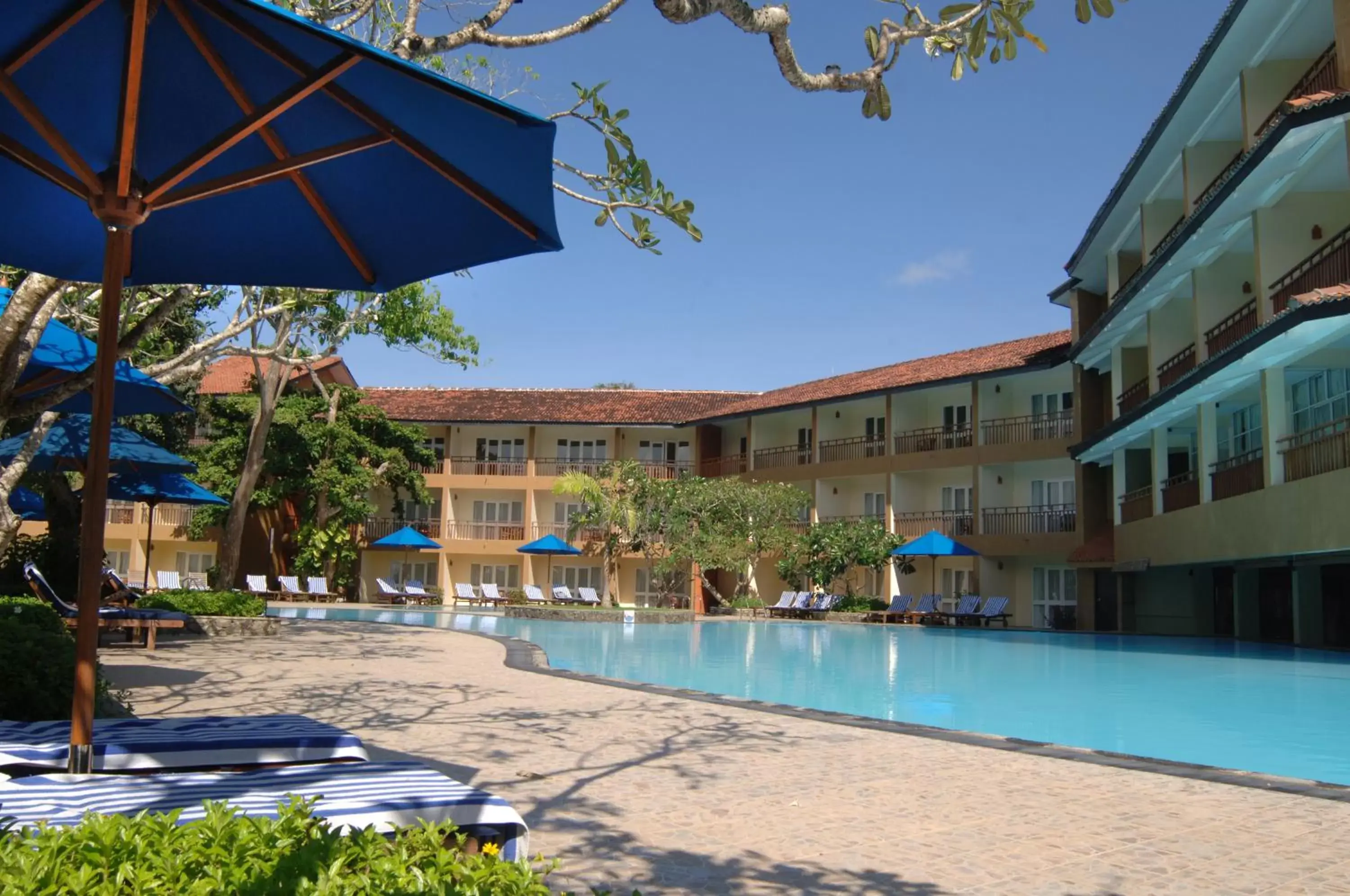 Swimming Pool in The Palms